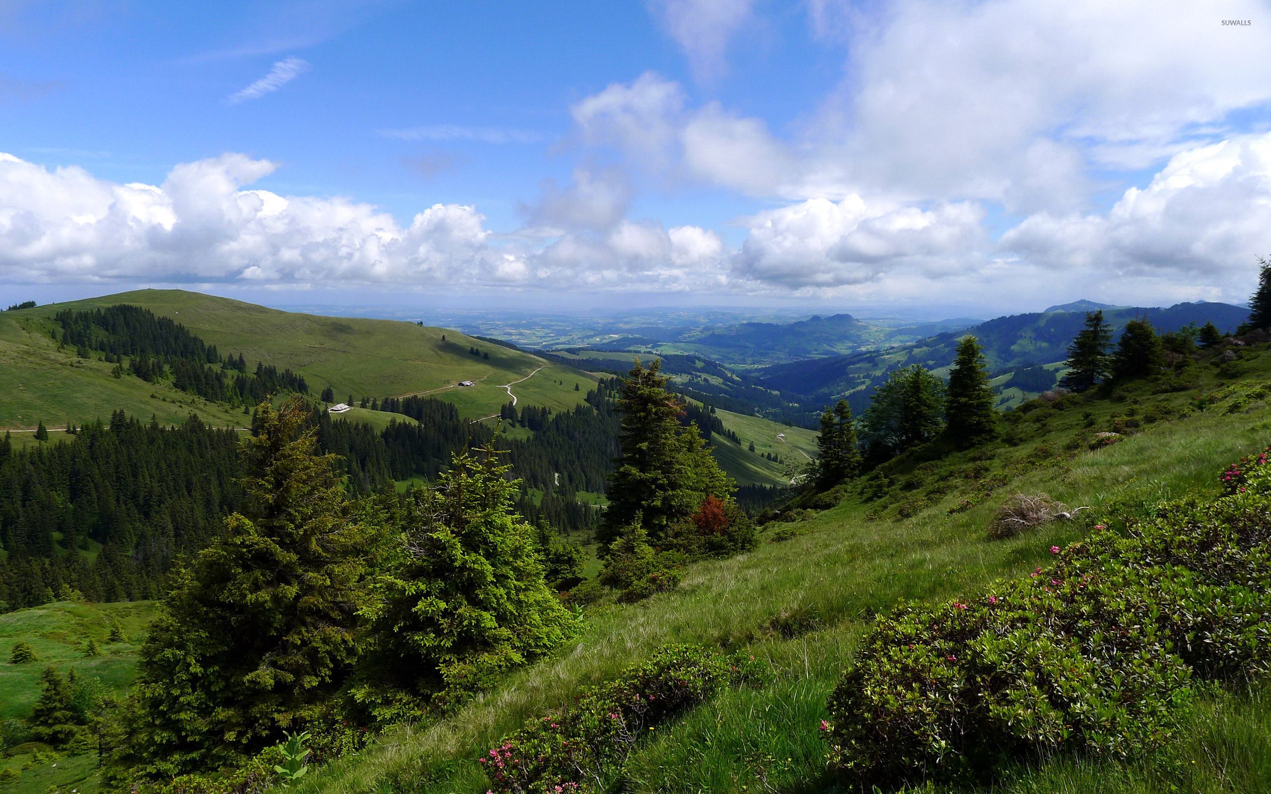 Beautiful summer day in the green mountains wallpaper