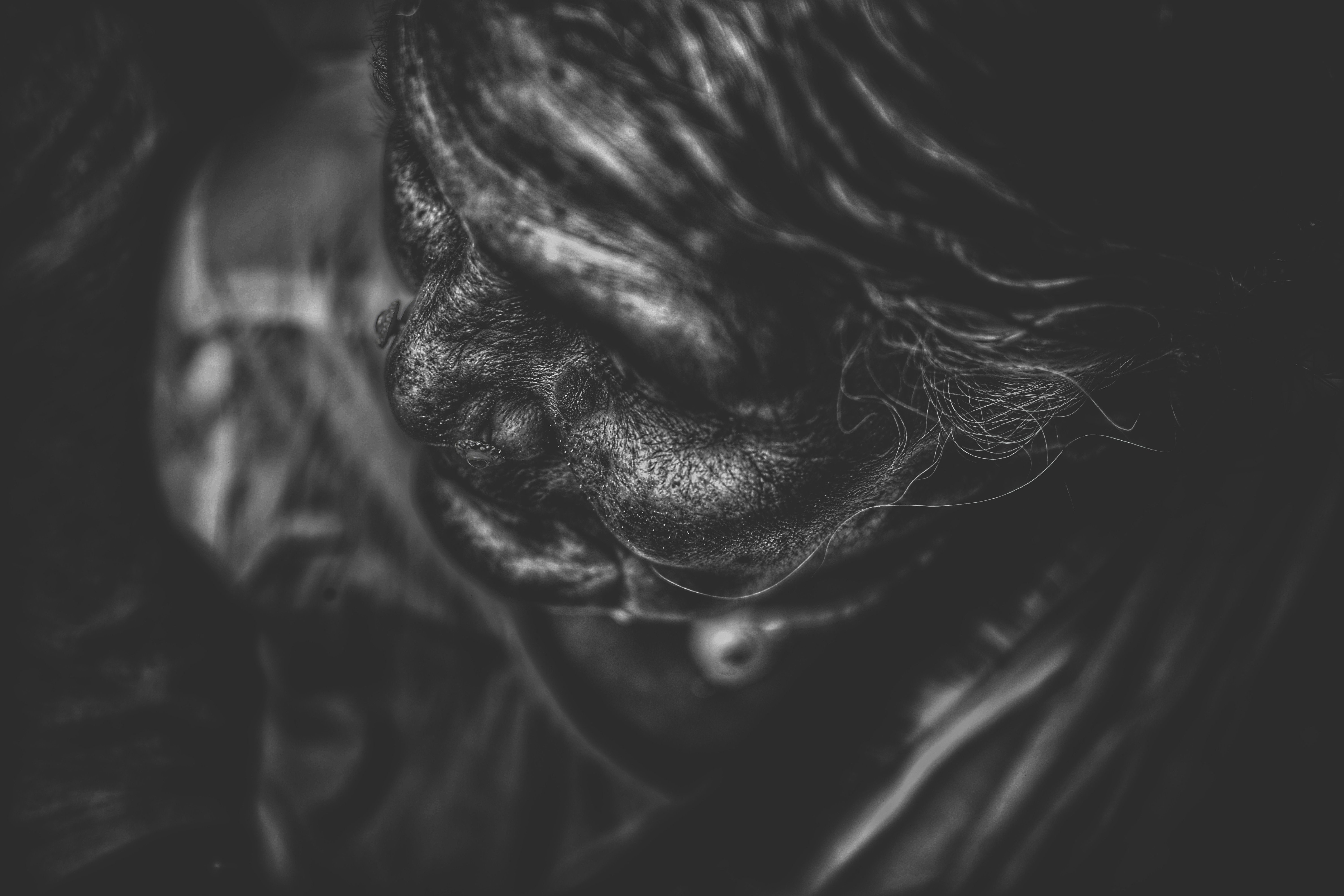 6000x4000 #dark, #wrinkle, #black and white, #contrast