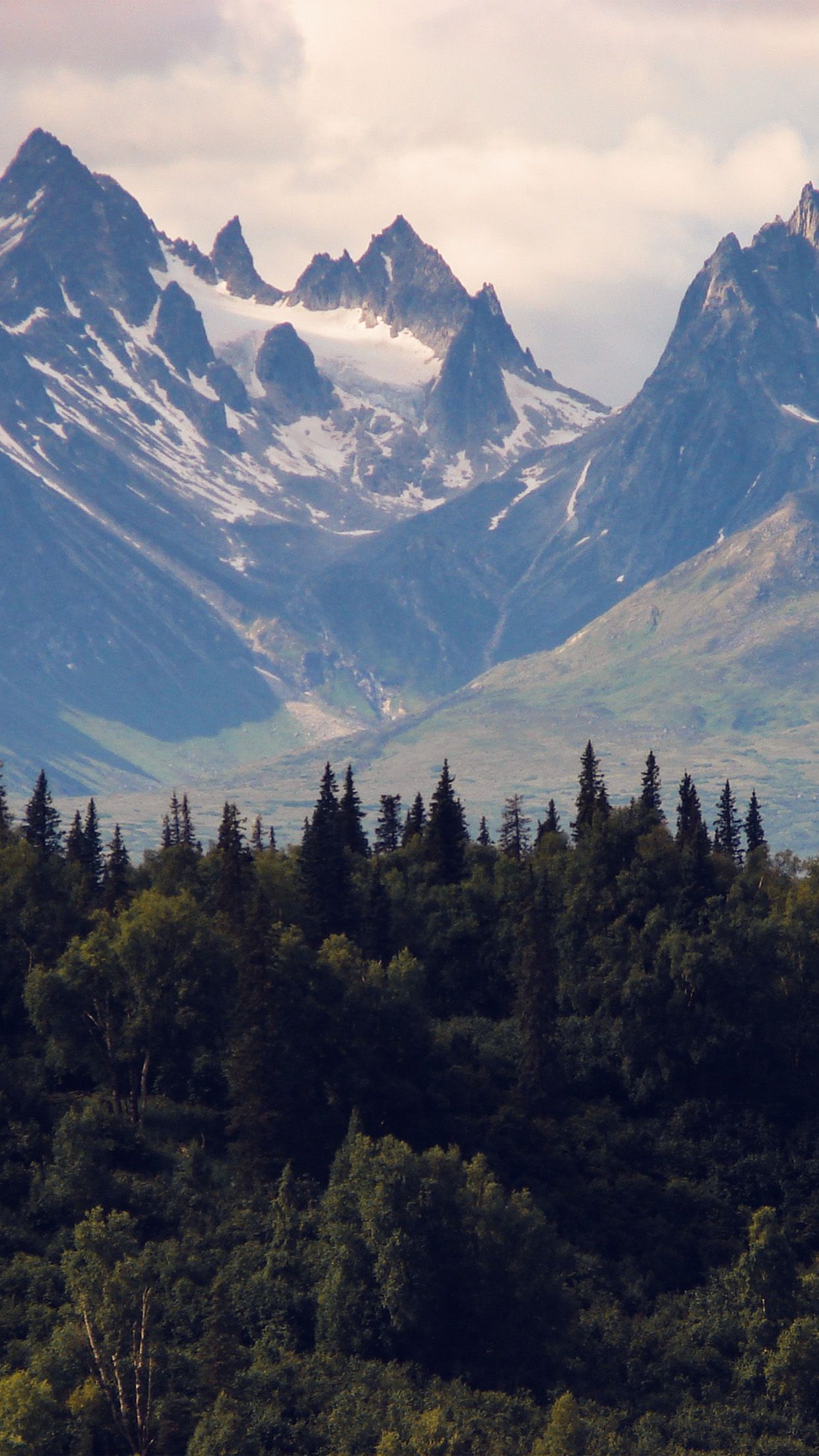 Mountain Nature Woodd Summer Green