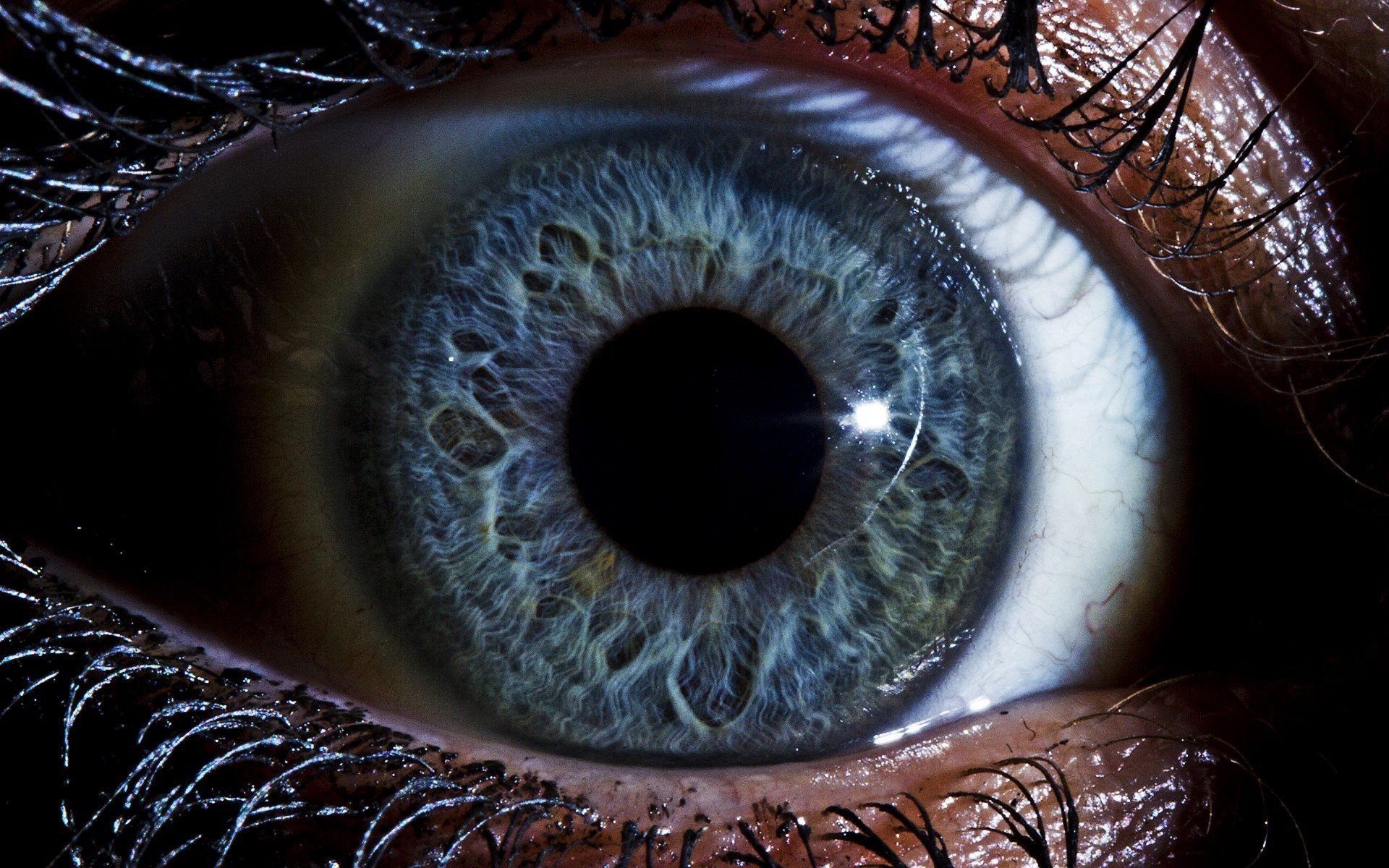 Download wallpaper eye, retina, the human eye, macro, eyes