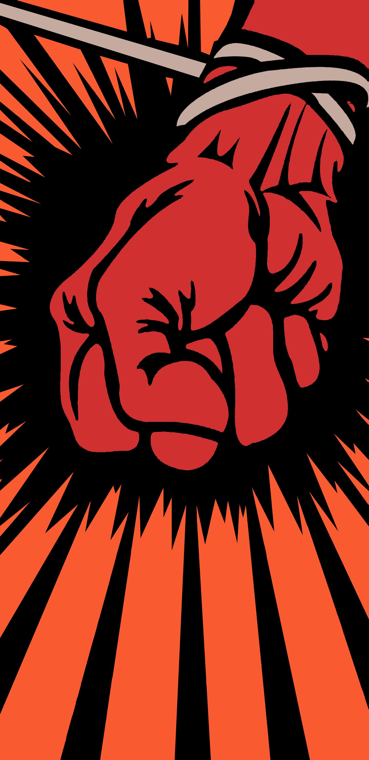 as suggested, heres my best attempt at a St.Anger wallpaper [2960x1440]