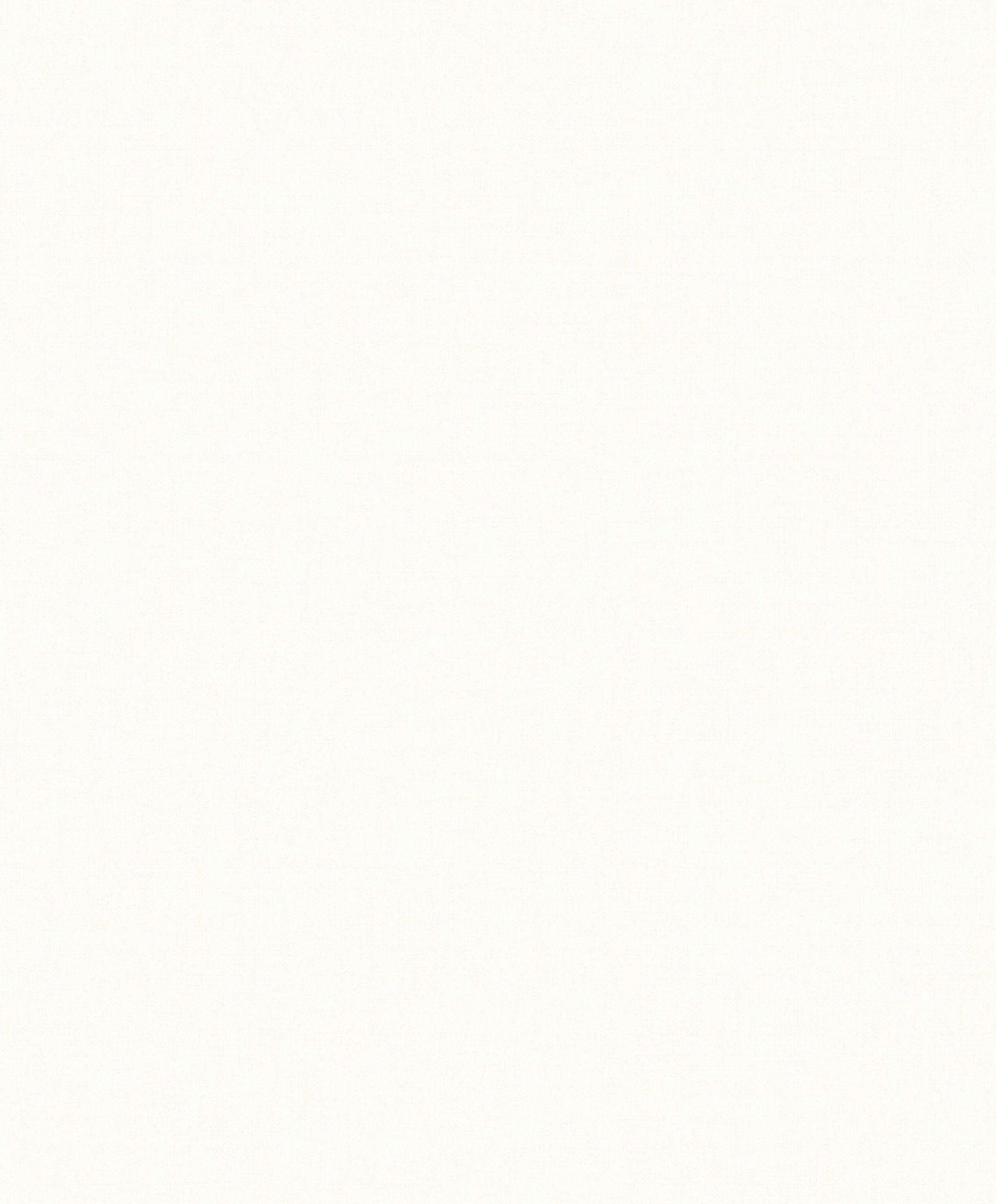 Plain White iPhone Wallpapers - Wallpaper Cave