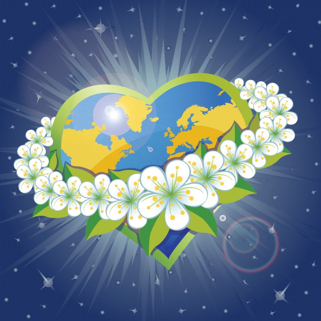 Earth Flower HD Wallpapers Wallpaper Cave