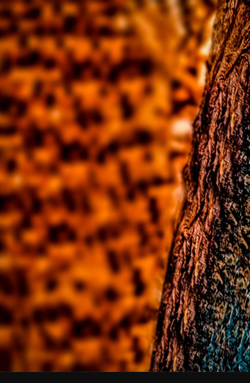 Blur and full HD cb background