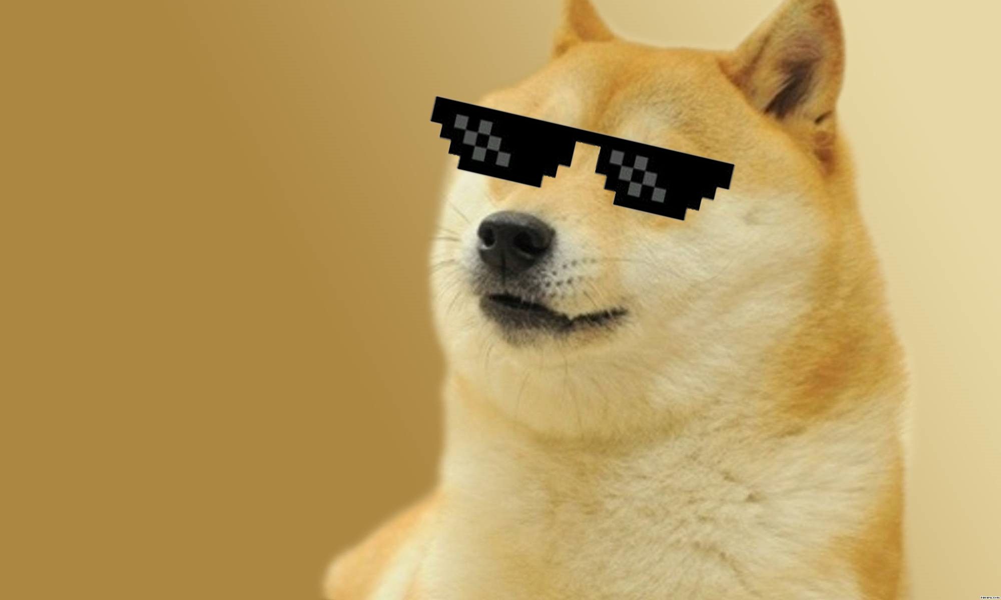 Doge Meme Wallpaper. Doge meme, Cute dog wallpaper, Doge dog