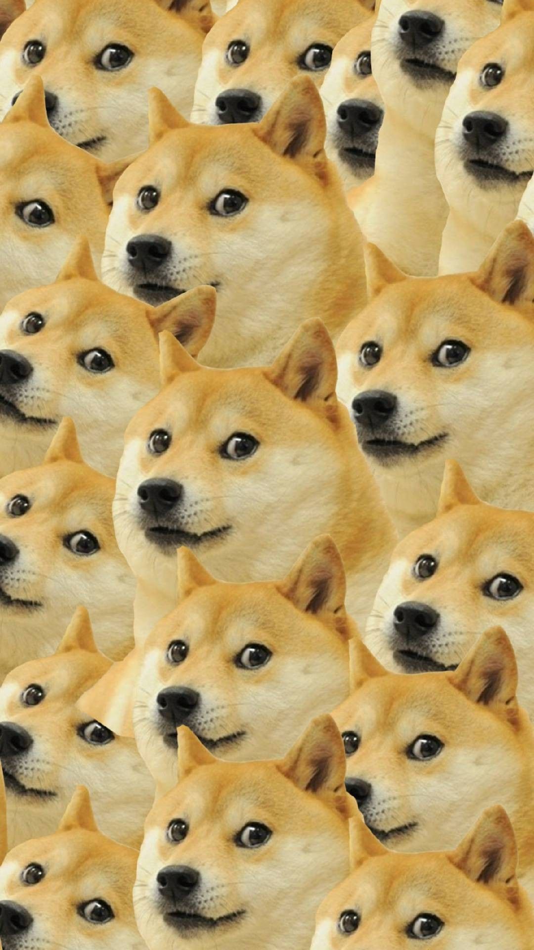 Shiba Inu Doge Wallpaper Home Screen. Dog wallpaper iphone, Dog
