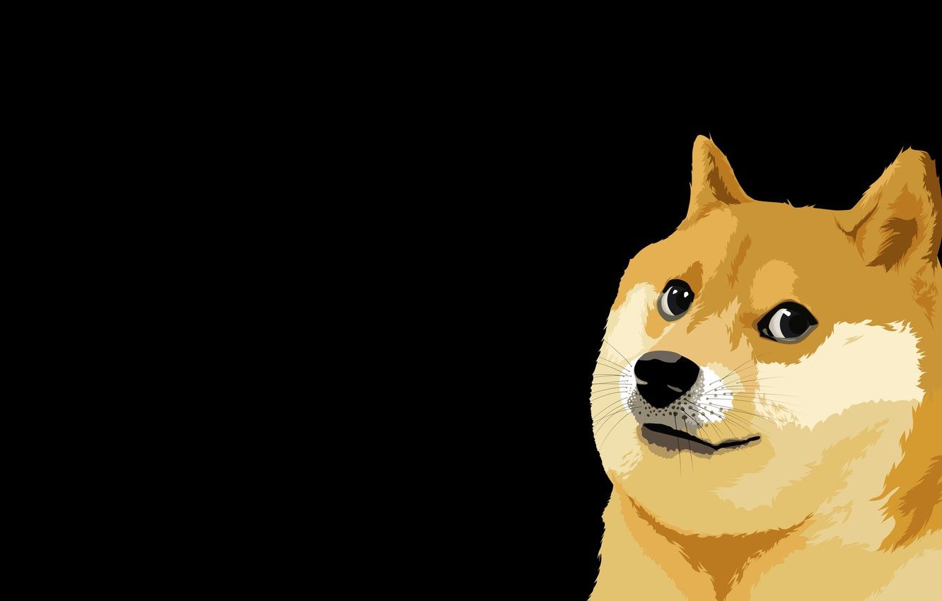 10+ Doge HD Wallpapers and Backgrounds
