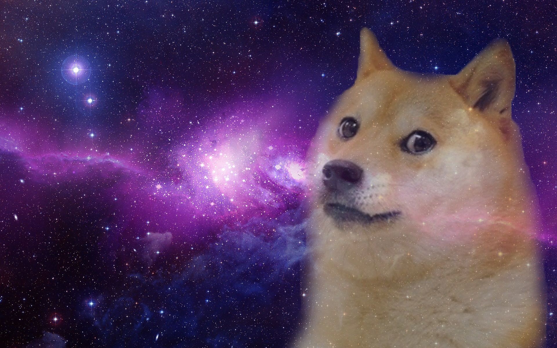 Doge Meme Wallpapers  Top Free Doge Meme Backgrounds  WallpaperAccess