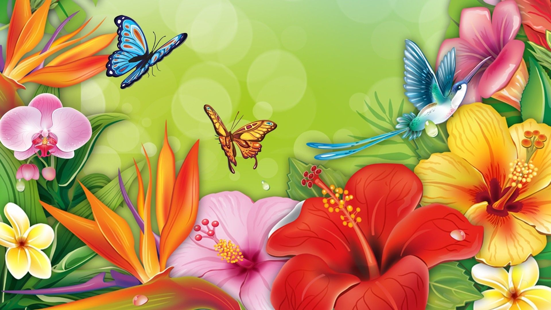 Flowers and Butterflies HD Wallpaper