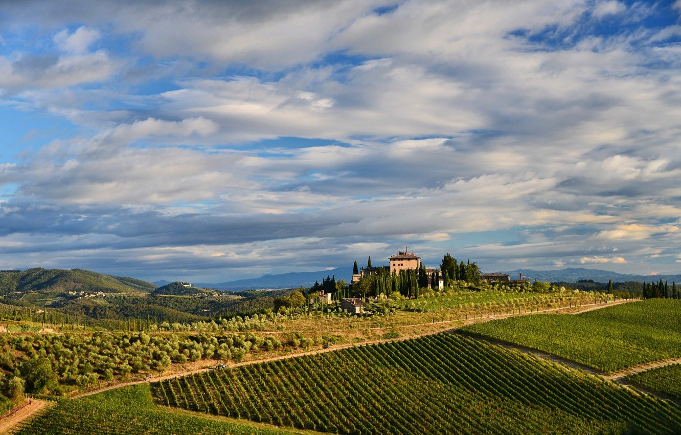 Vineyard Field Clouds HD Wallpapers - Wallpaper Cave