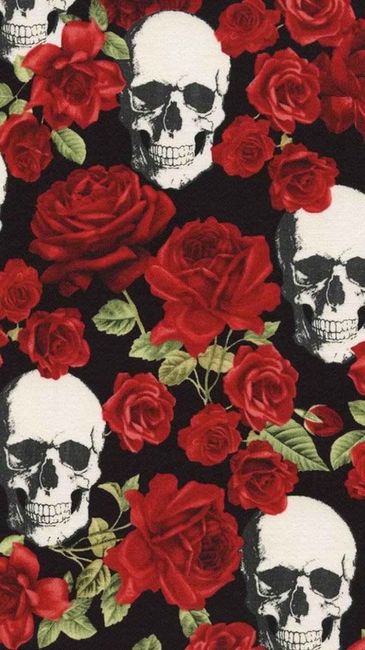 Roses are dead wallpaper