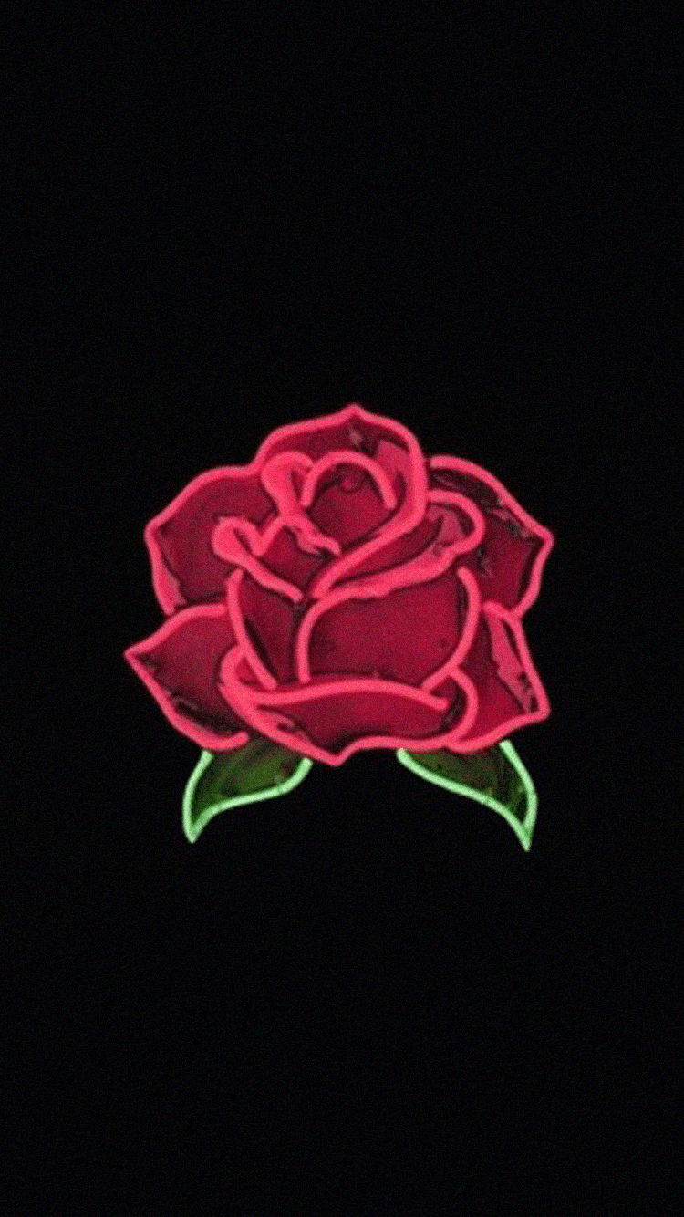 Dead Rose Wallpaper