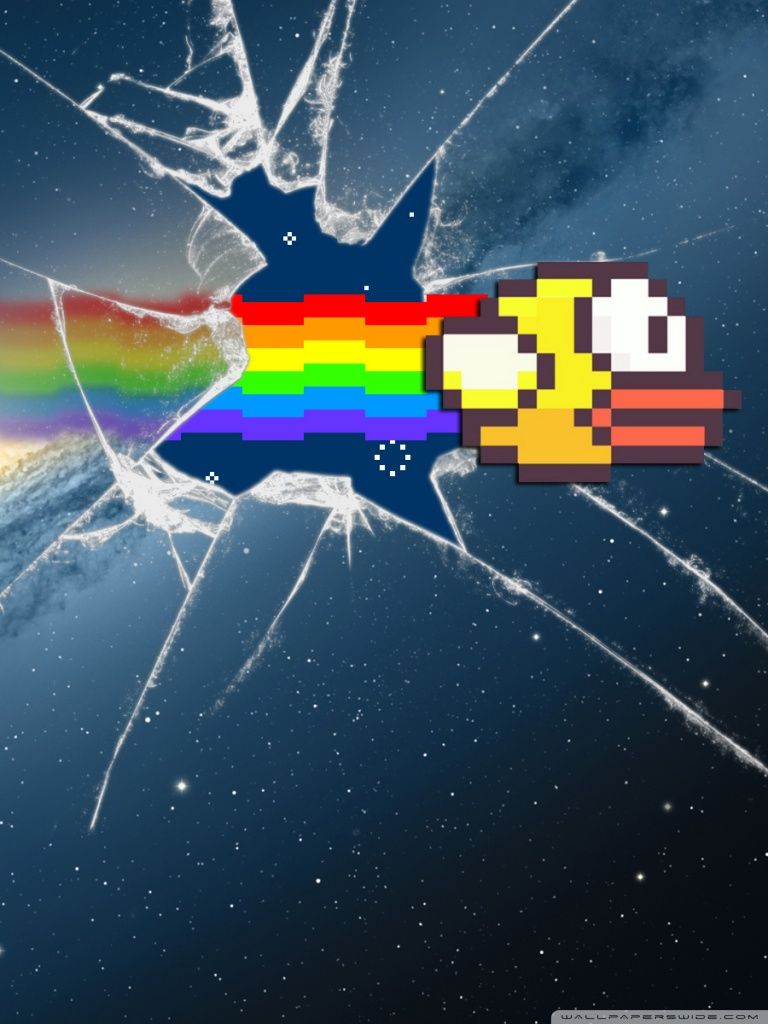 Flappy Bird Breaking Screen Ultra HD Desktop Background Wallpaper