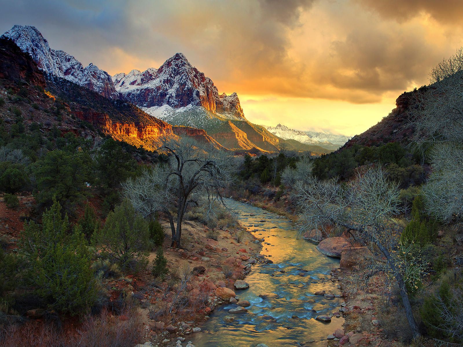 Zion National Park Picture wallpaperx1200