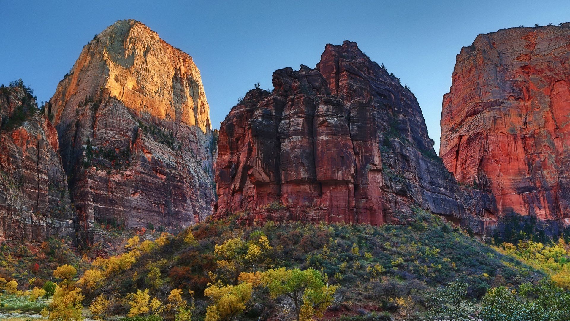 Free download Zion National Park Picture HD wallpaper 1920x1080