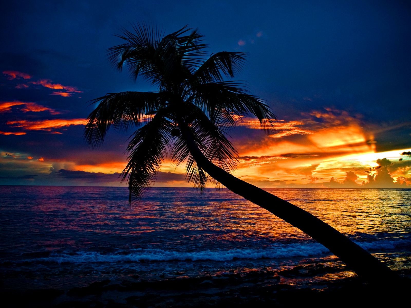 Download wallpaper from Earth Ocean with tags: Windows XP, Sunset