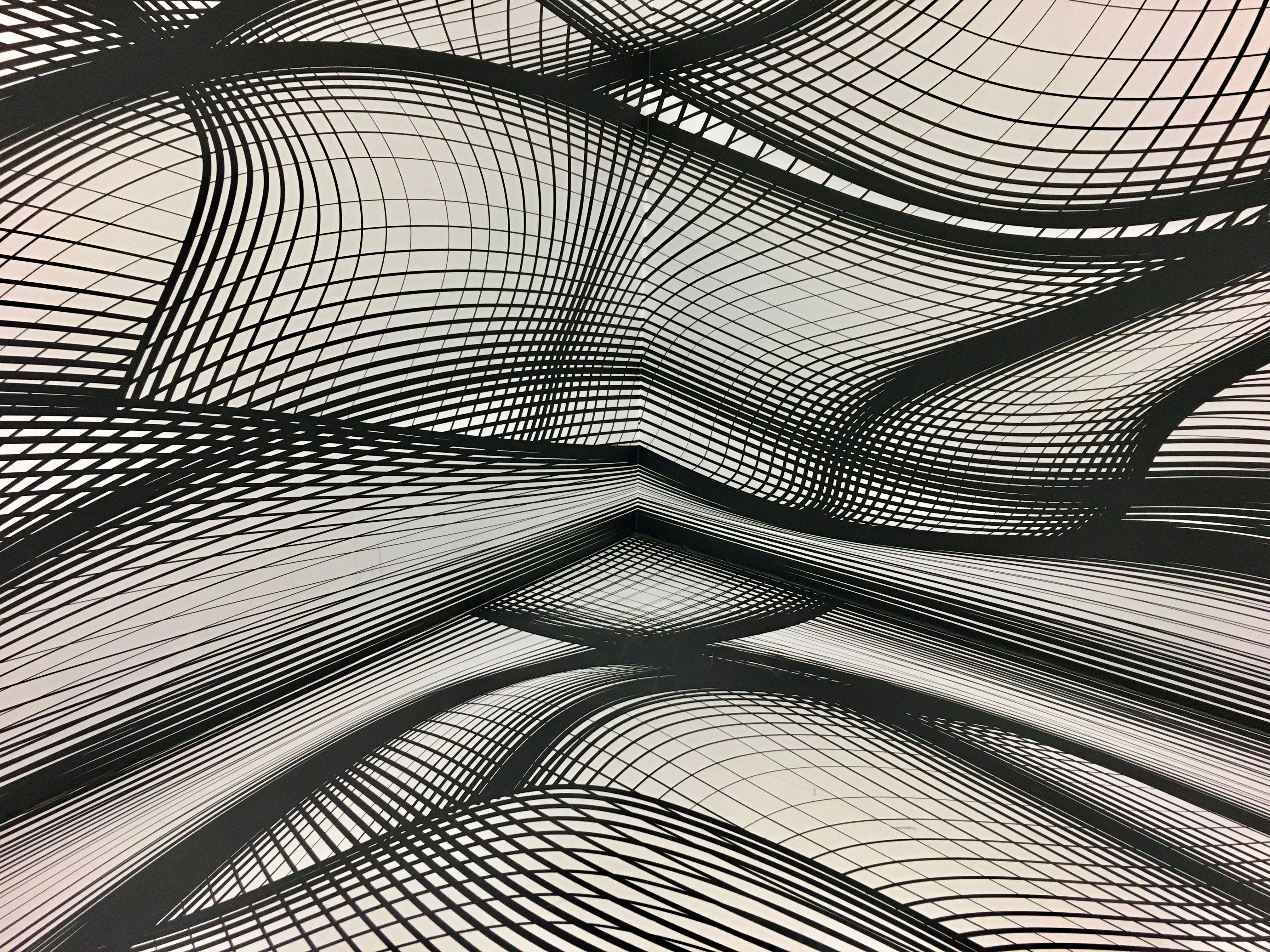 4032x3024 #Free picture, #grid, #line, #abstract, #wallpaper, # pattern, #wave, #monochrome, #form, #object, #black and white, #structure, #graphic, #graph, #wavey, #geometric, #contrast HD Wallpaper