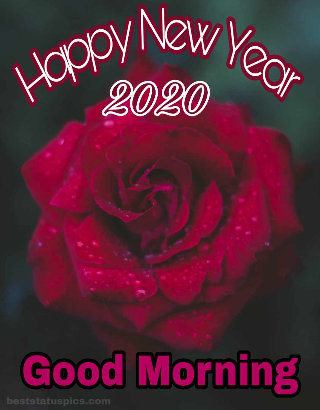 Free download Good Morning Happy New Year 2020 Whatsapp Dp Status