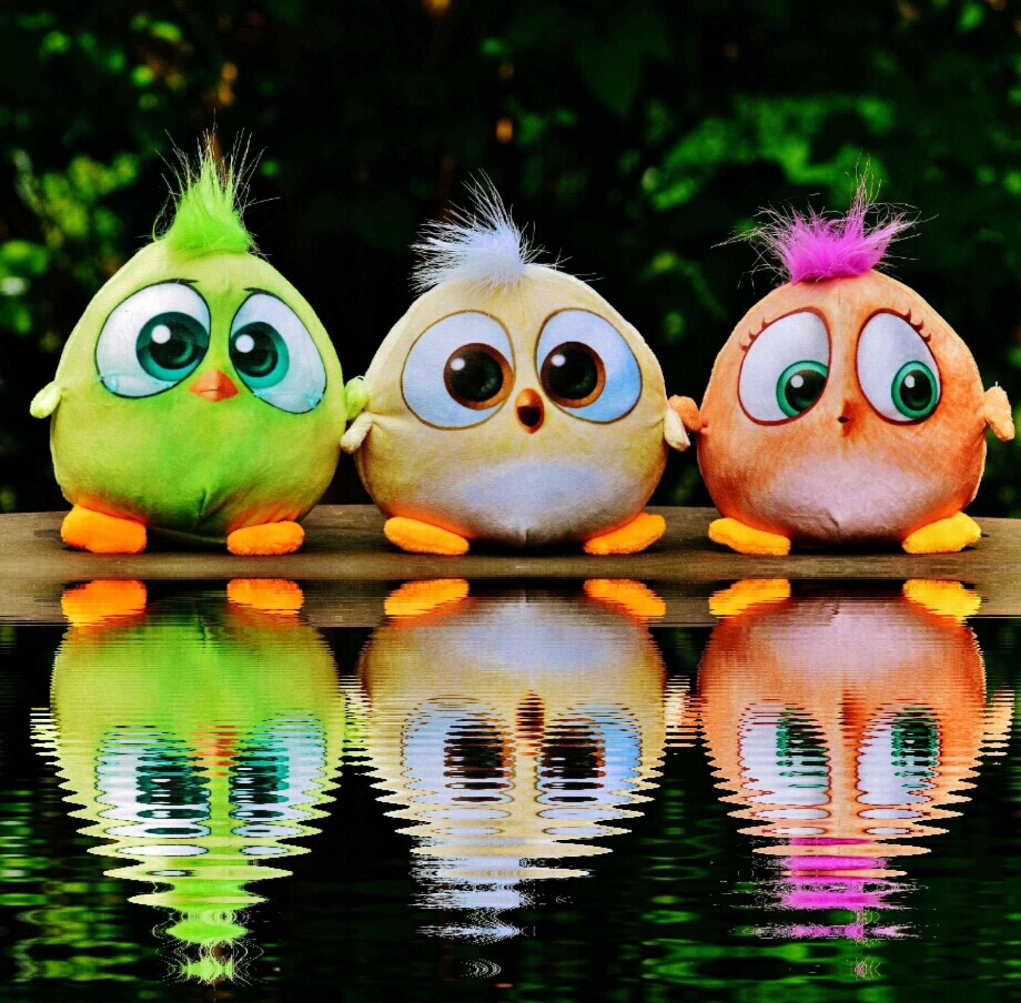baby birds from angry birds movie free image
