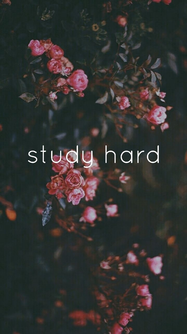 Study hard motivation wallpaper uploaded