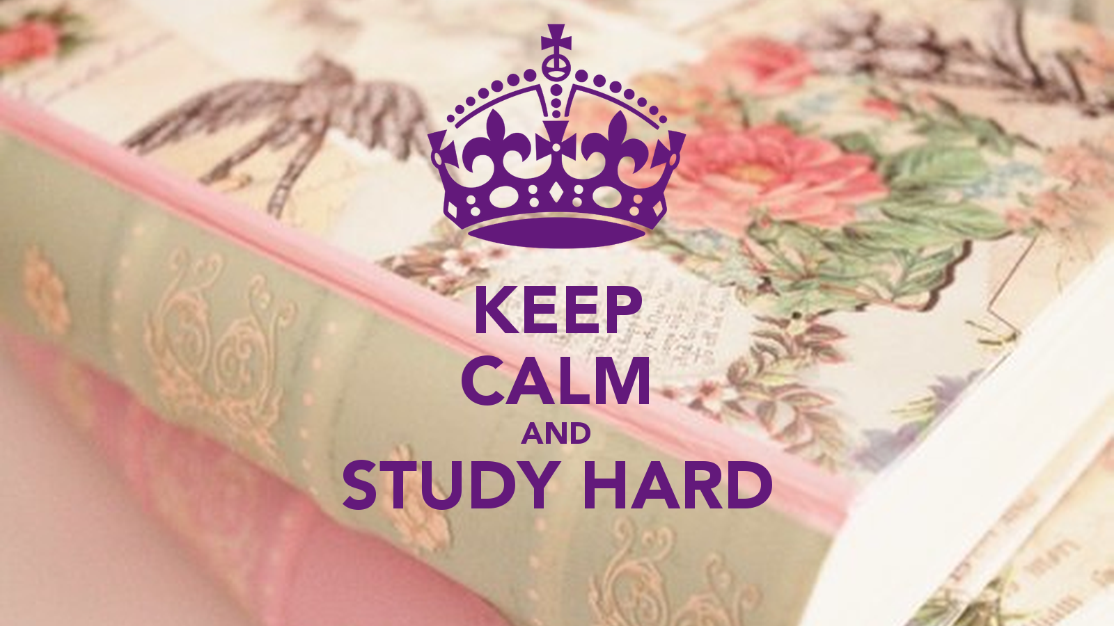 Motivational Quotes About Study Hard
