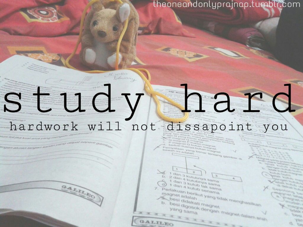Study hard. Hardwork will not dissapoint you