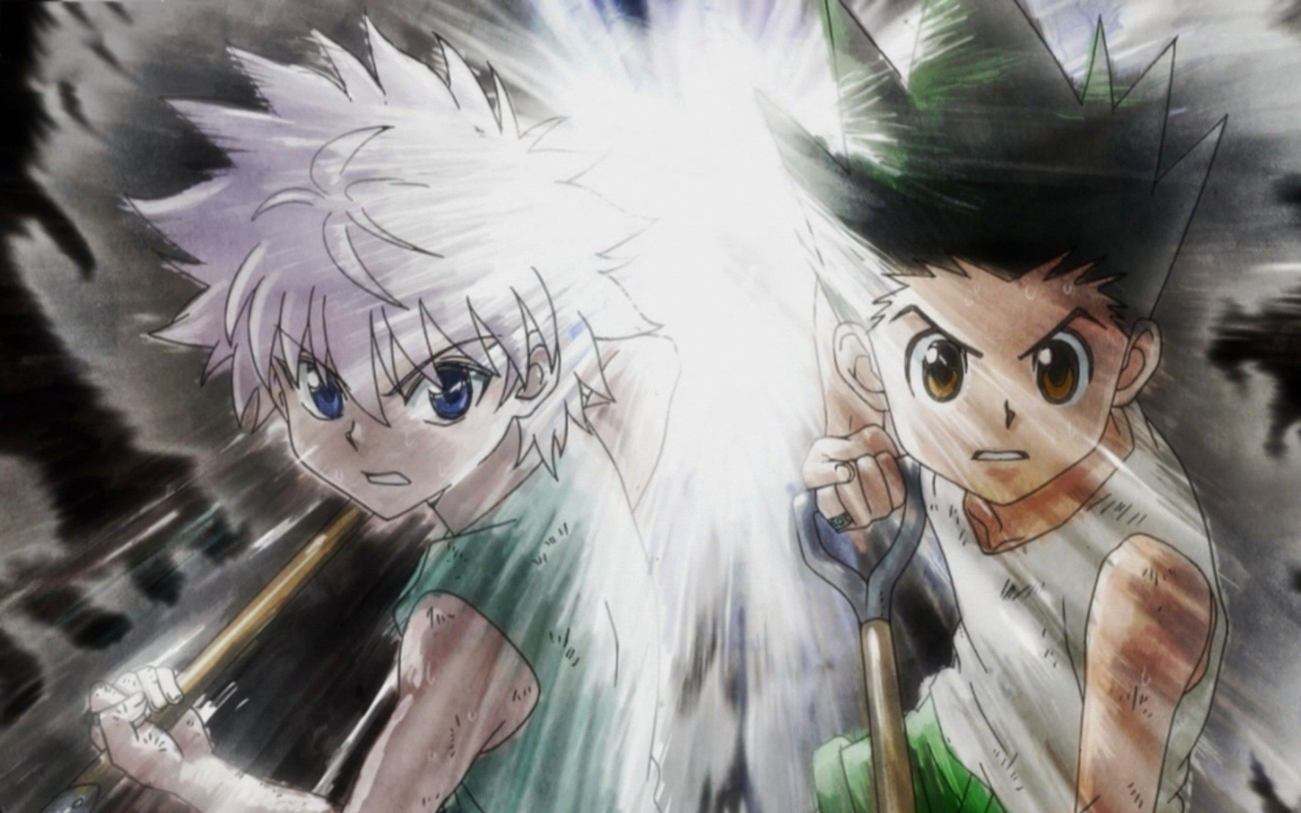 Wallpaper Hunter X Hunter, Anime, Gon Css, Killua Zoldyck - Wallpaperforu