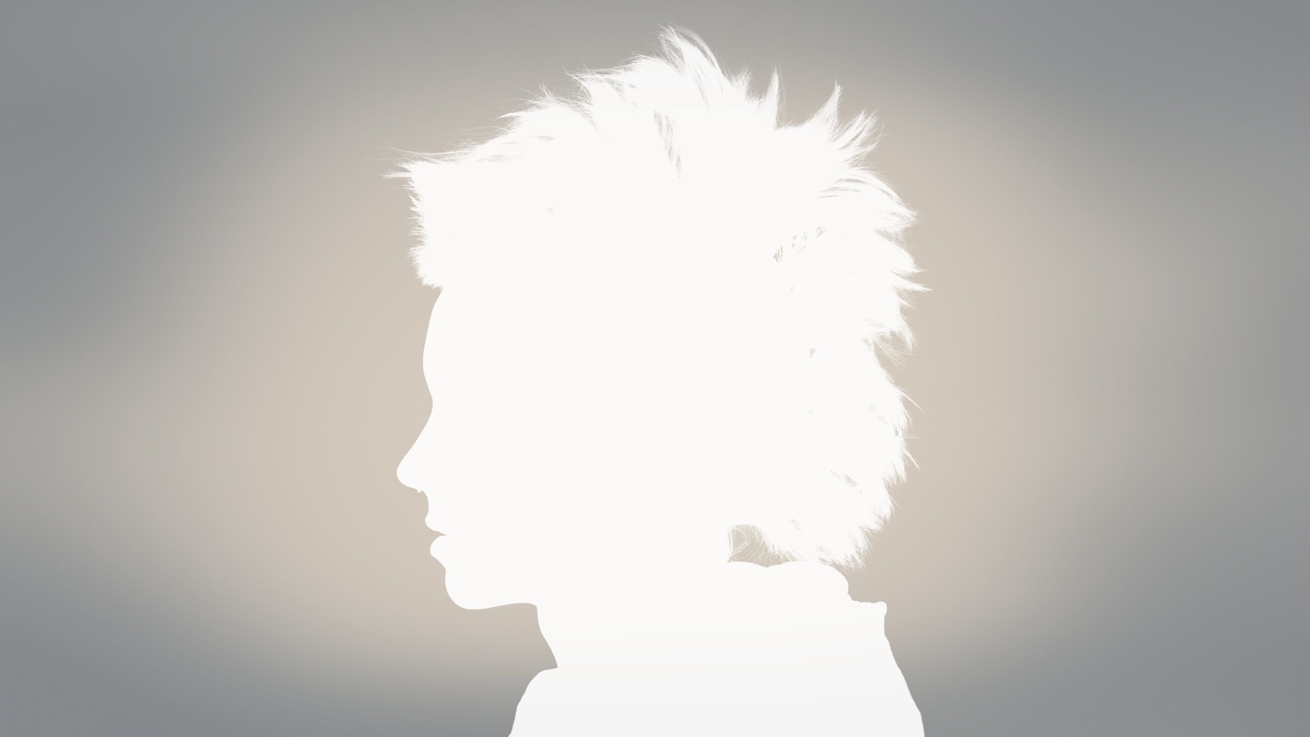 The Girl With The Dragon Tattoo HD Wallpaper. Background Image