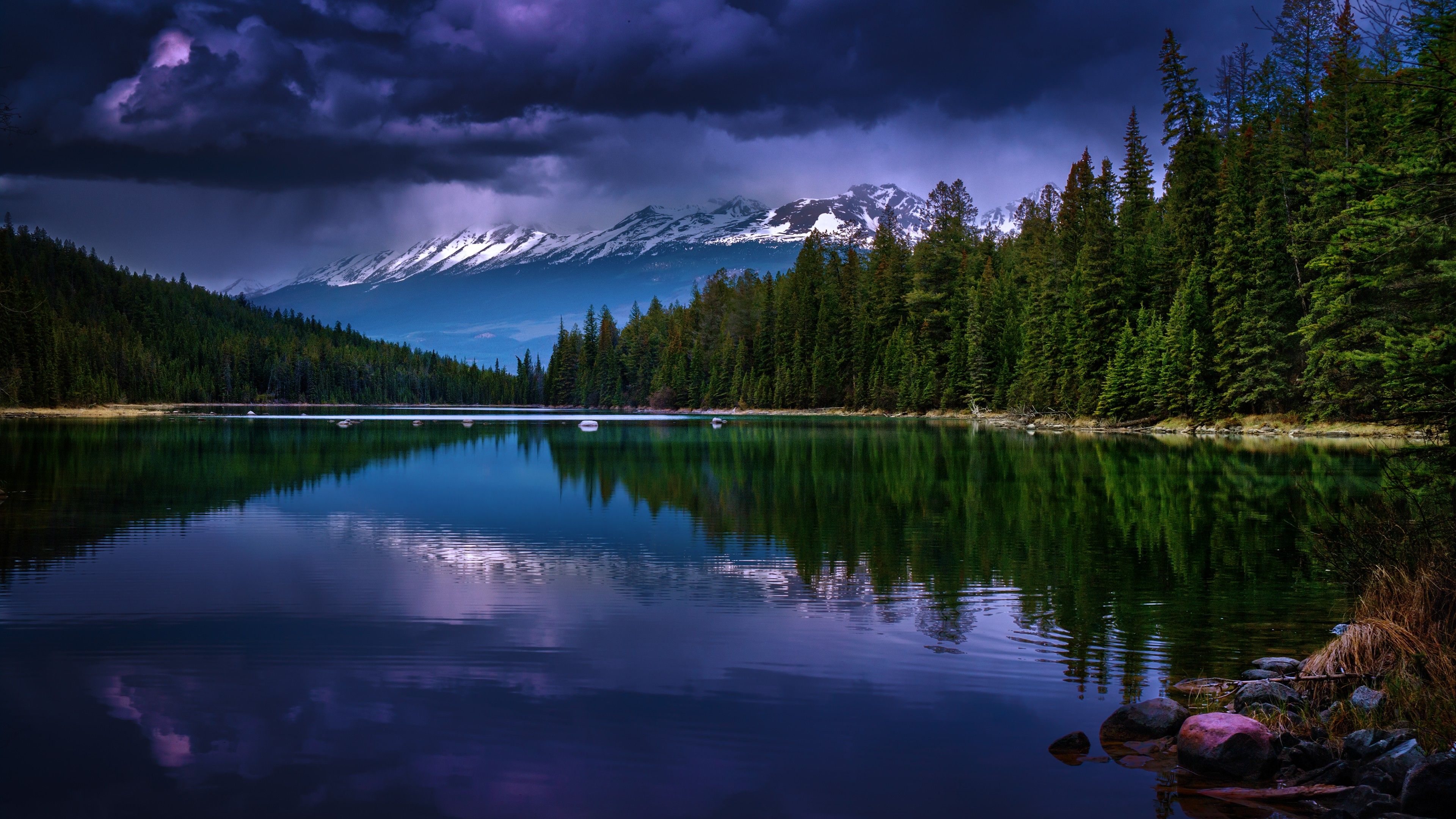 Wallpaper Mountains, 5k, 4k wallpaper, river, pines, trees, clouds, OS