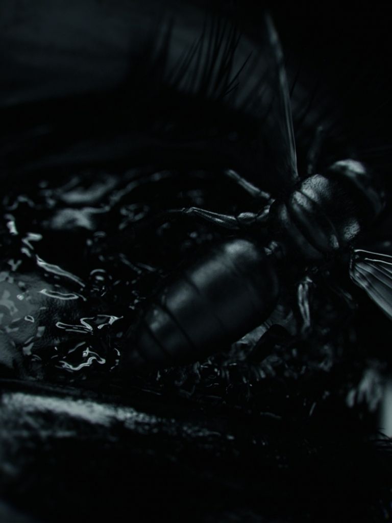 Free download the girl with the dragon tattoo wallpaper The Girl