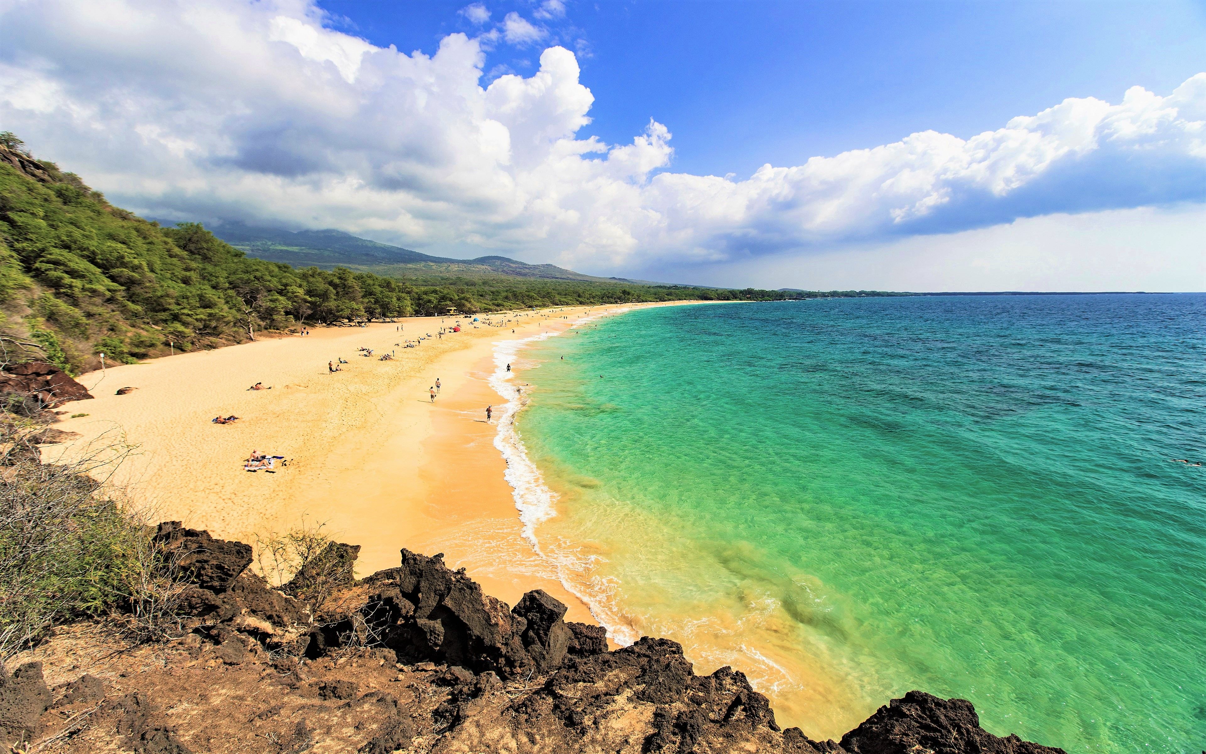 Beach in Maui, Hawaii 4k Ultra HD Wallpaper. Background Image