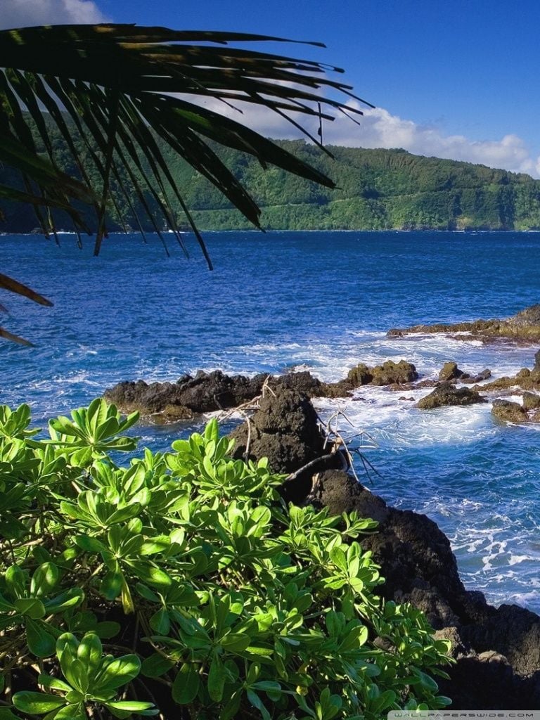 Maui, Hawaii, United States Ultra HD Desktop Background Wallpaper