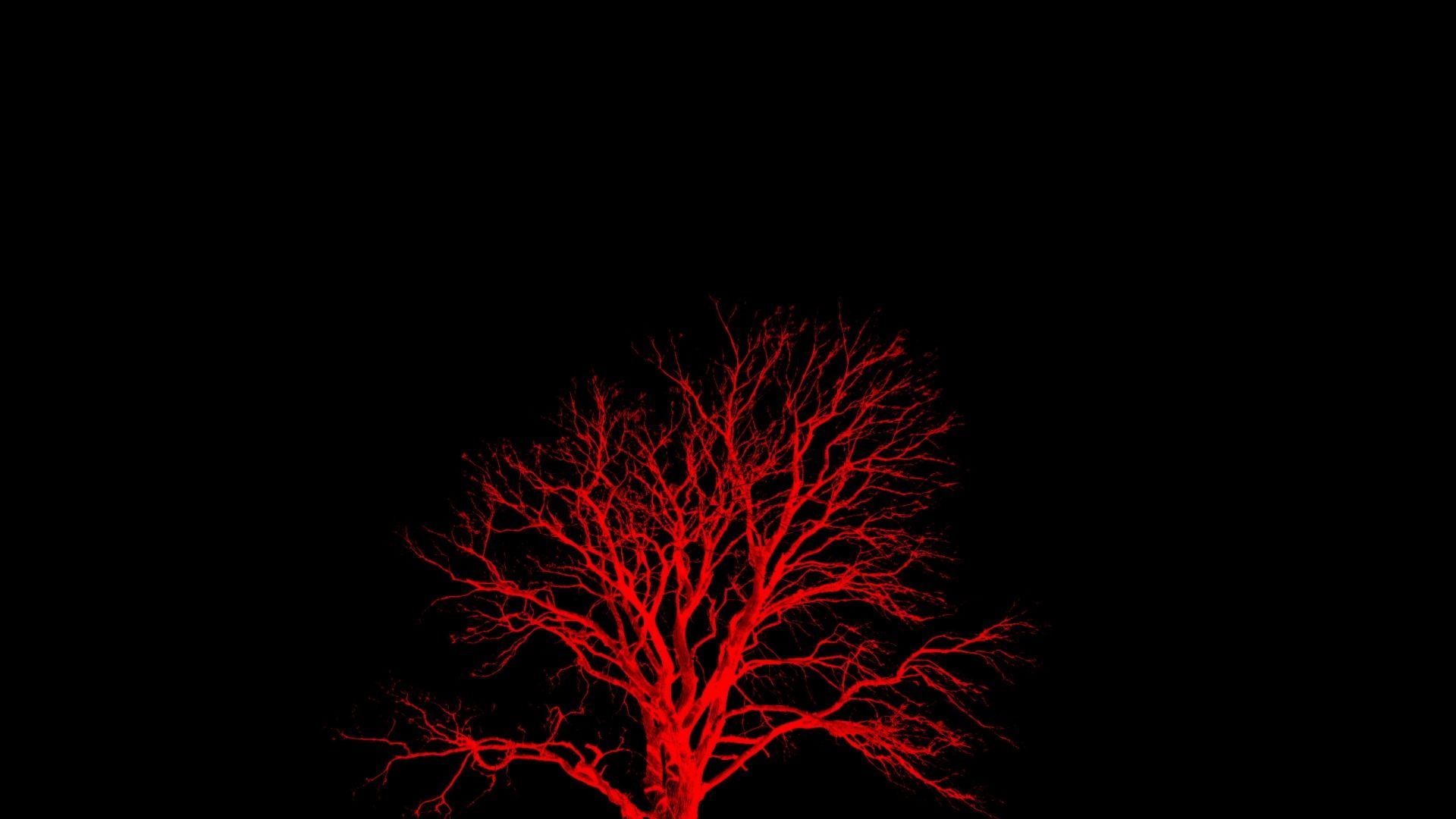 Red and Black Tree Wallpaper Free Red and Black Tree Background