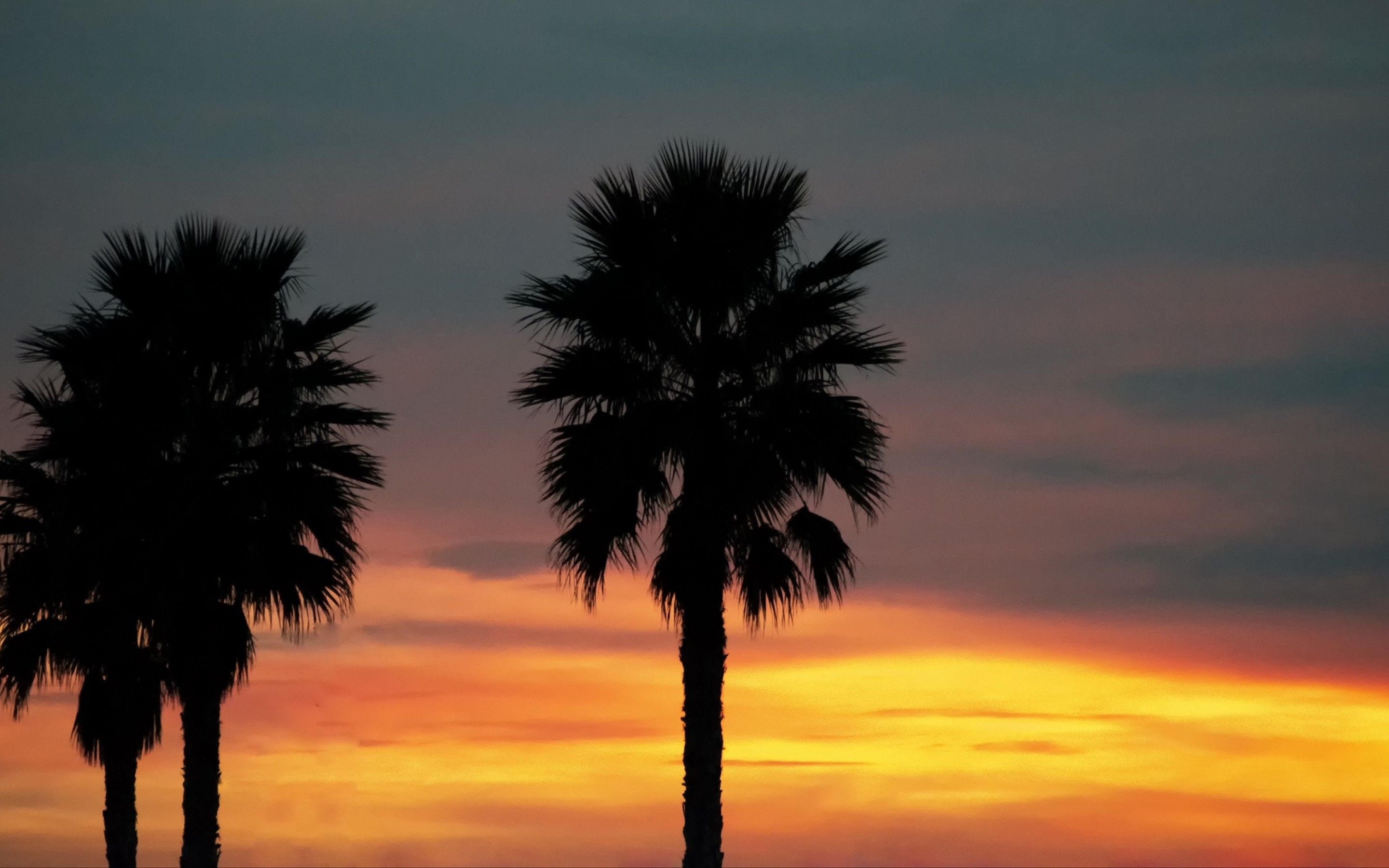 Palm trees under the sunset HD Wallpaper 15 Retina Macbook Pro