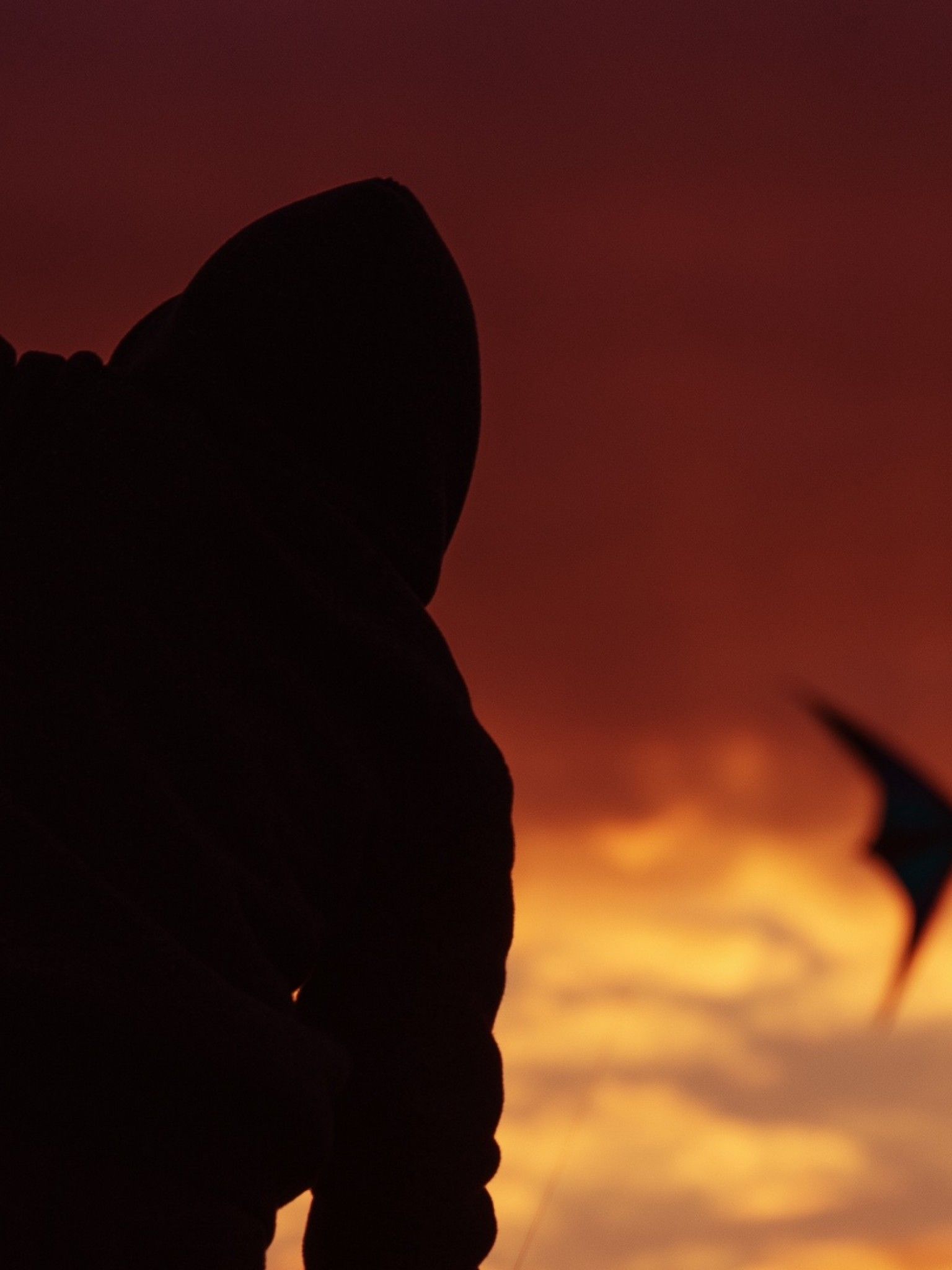 Kite under the sunset HD Wallpaper Retina iPad Wallpaper