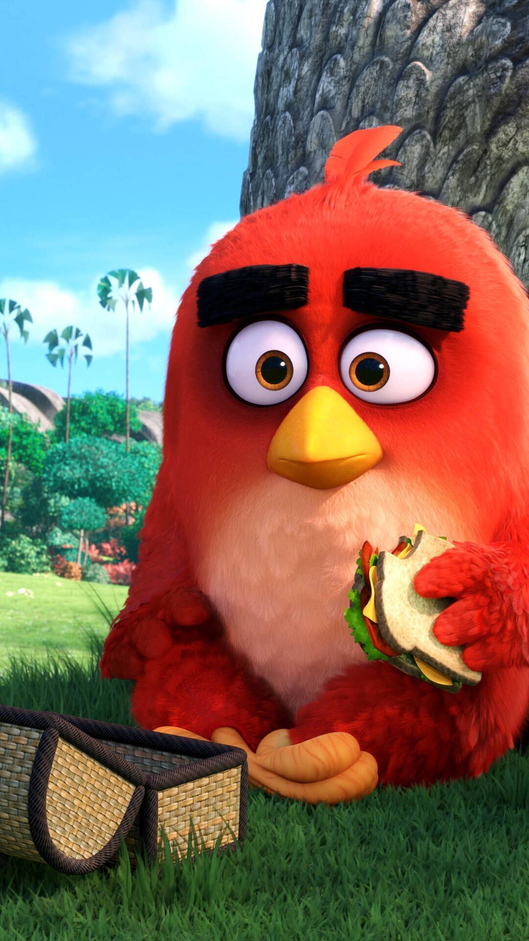 Angry Bird. Angry bird picture, Angry birds movie, Angry birds