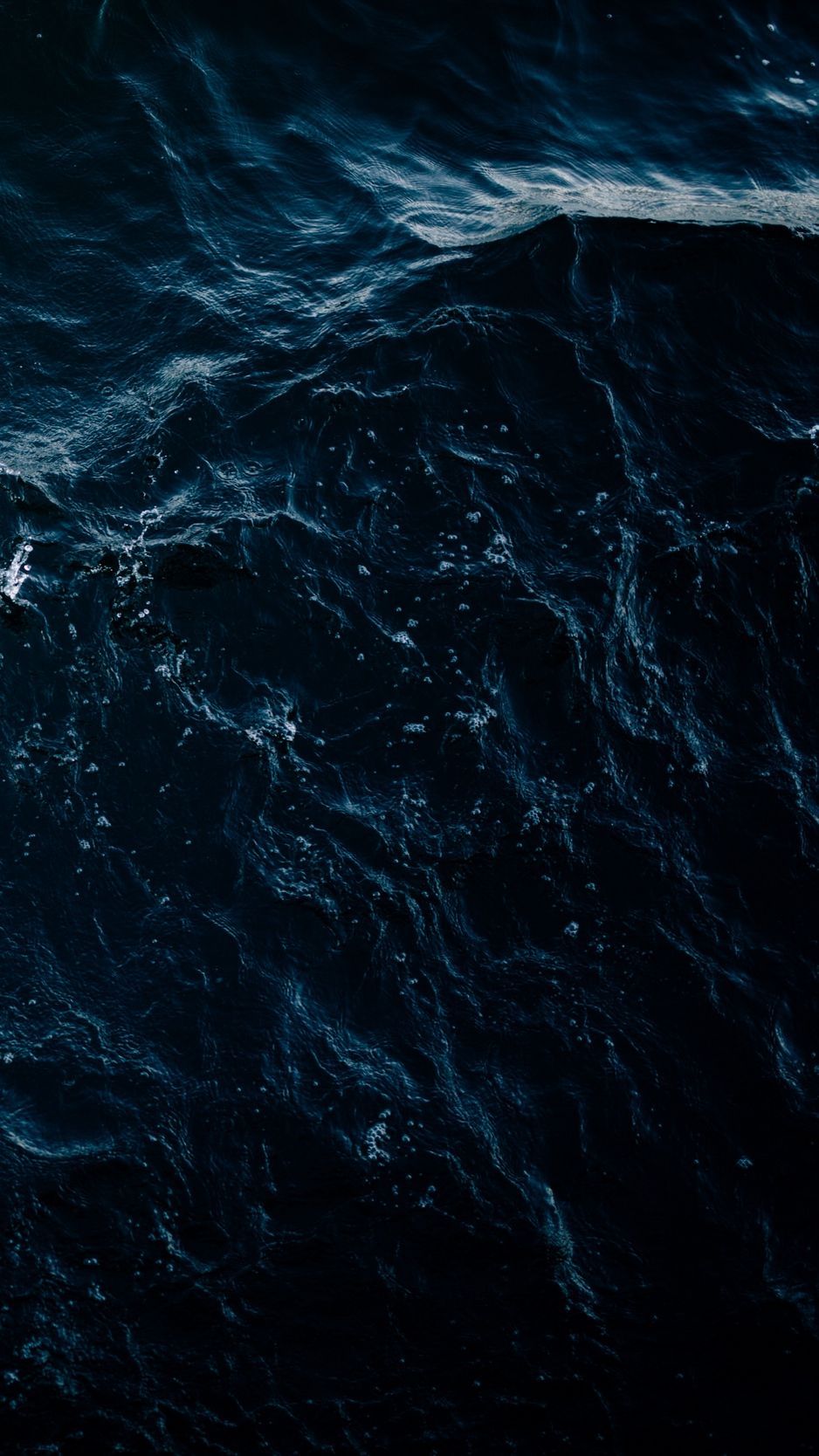 500 Deep Sea Pictures HD  Download Free Images on Unsplash