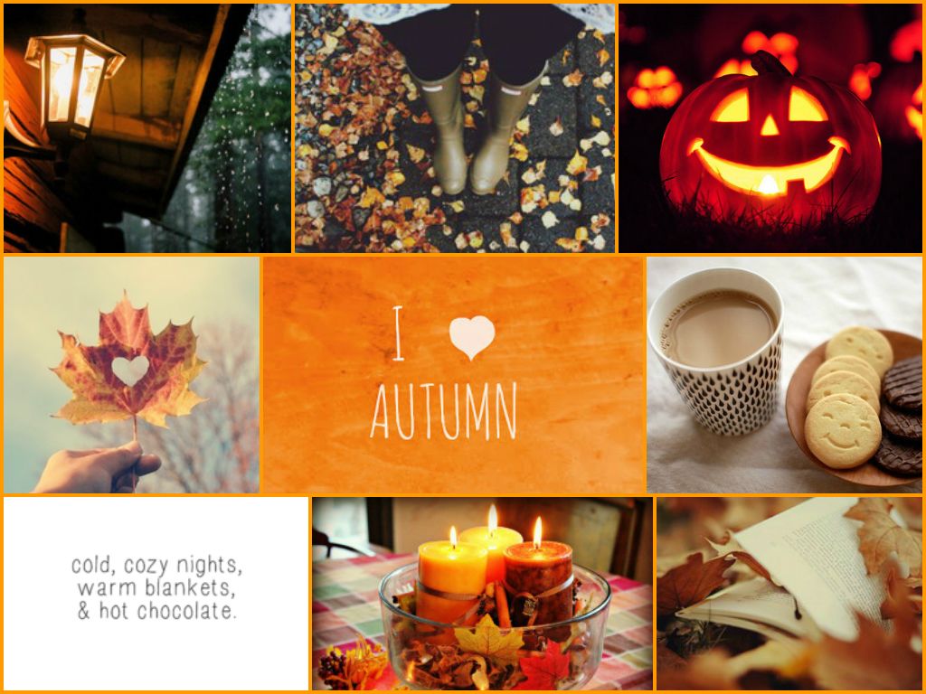 autumn collage. Randomosity of Eden