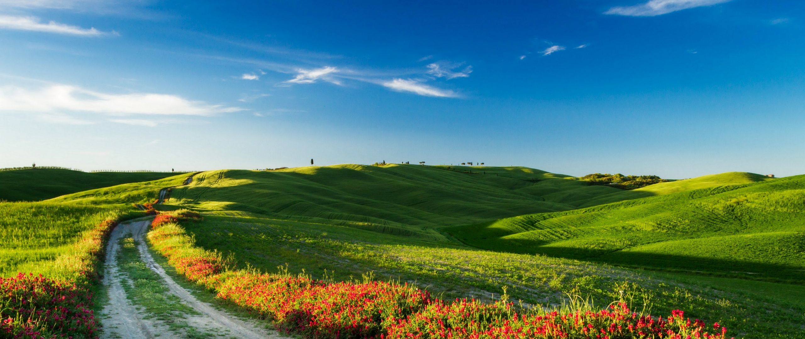 Download Tuscany, 4k, HD wallpaper, Italy, Meadows, road, wildflowers, sky Dual Wide display 1080p wallpaper 2560x1080