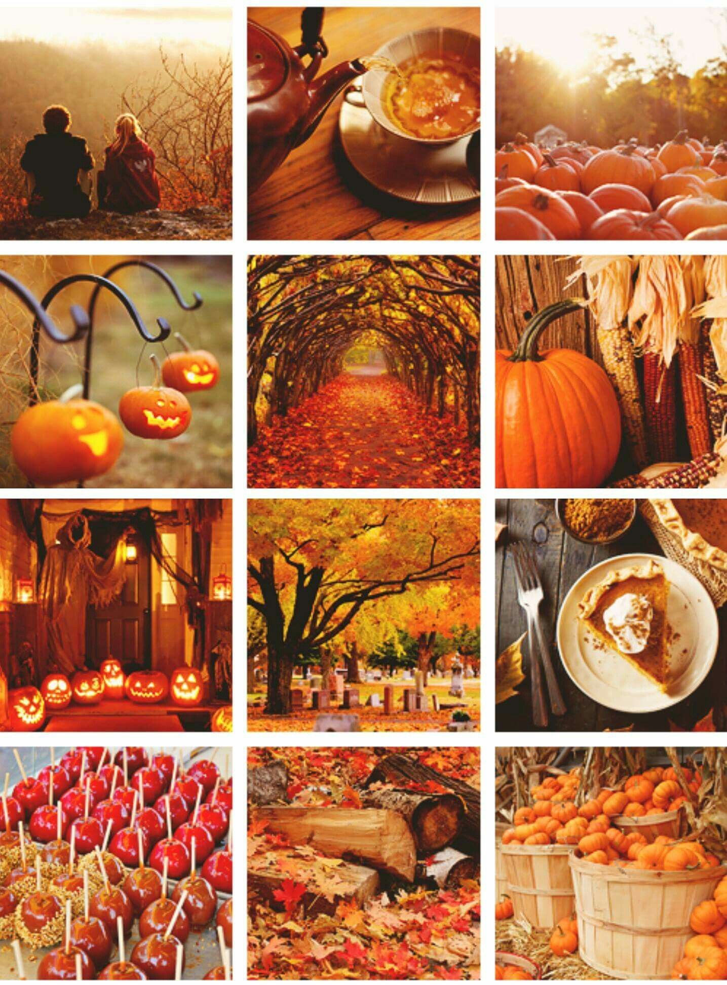 Autumn Aesthetic Collage Landscape