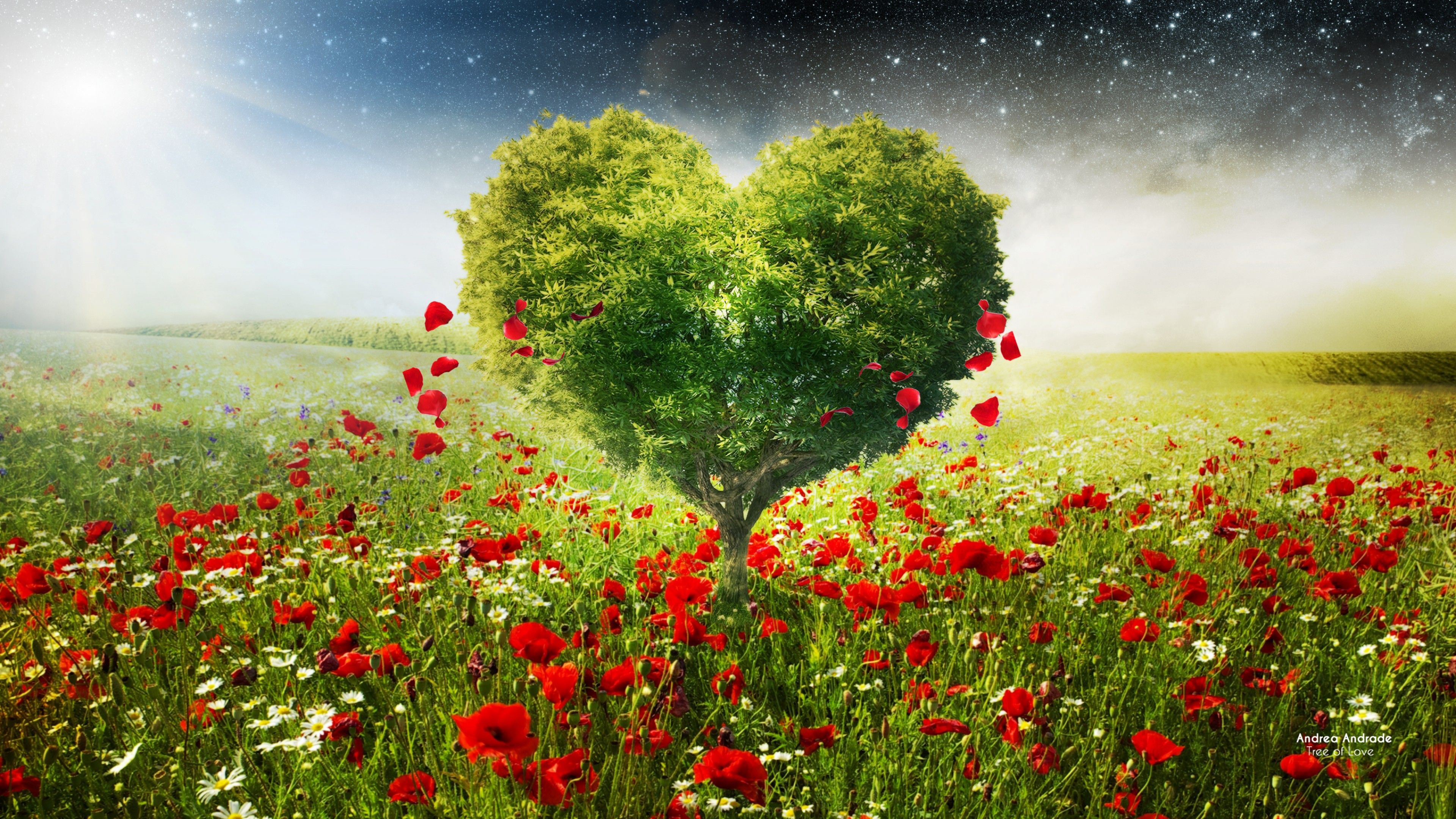 Free Green Heart Tree Poppies Hd Wallpapers for Desktop and Mobiles 4K Ultr...