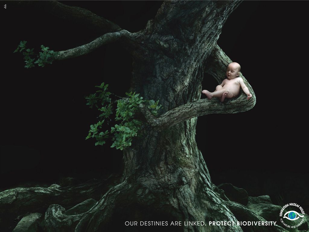Print Advert By, Tree. Ads of the World™