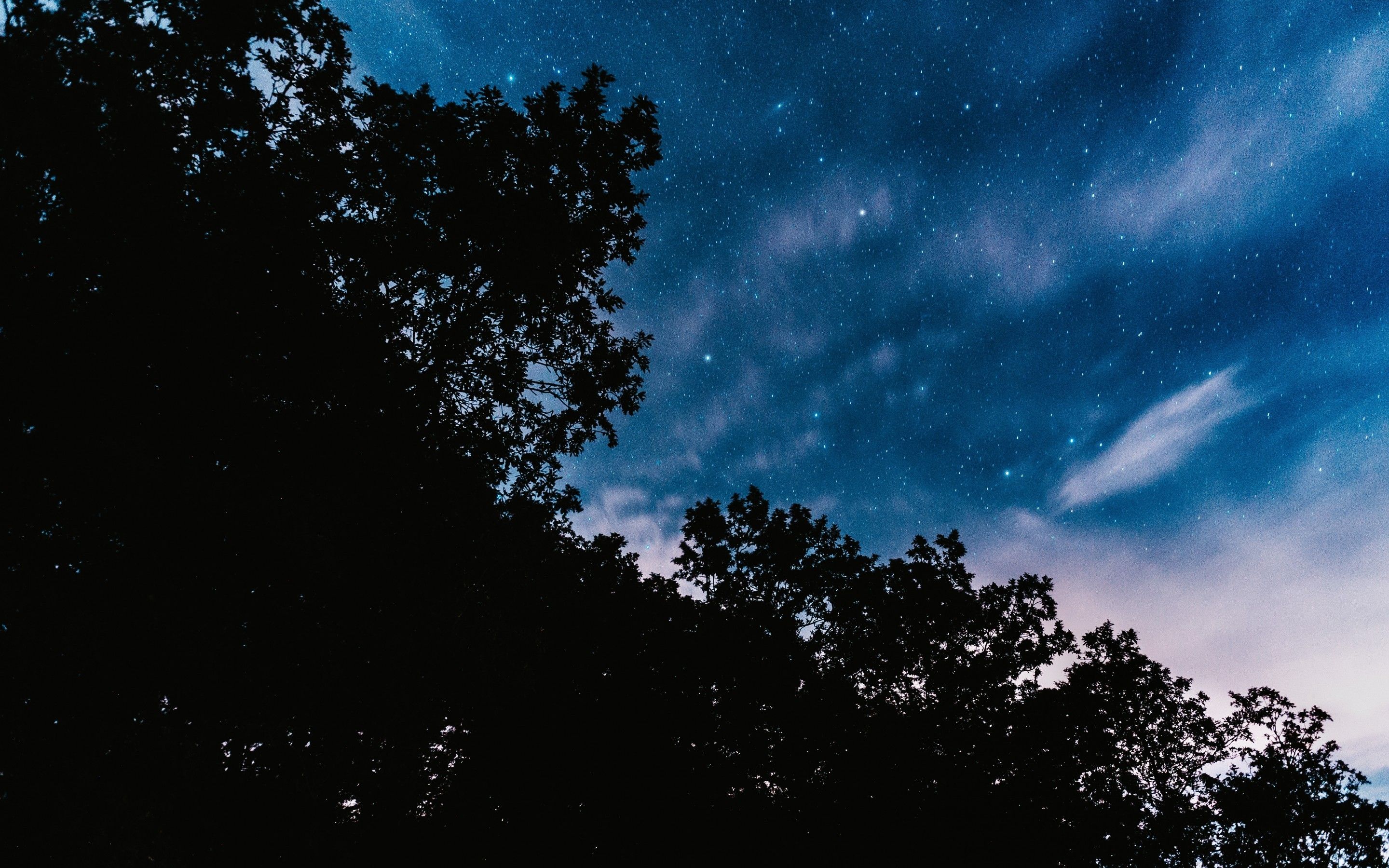 Download 2880x1800 Stars, Night, Trees, Clouds, Bottom View