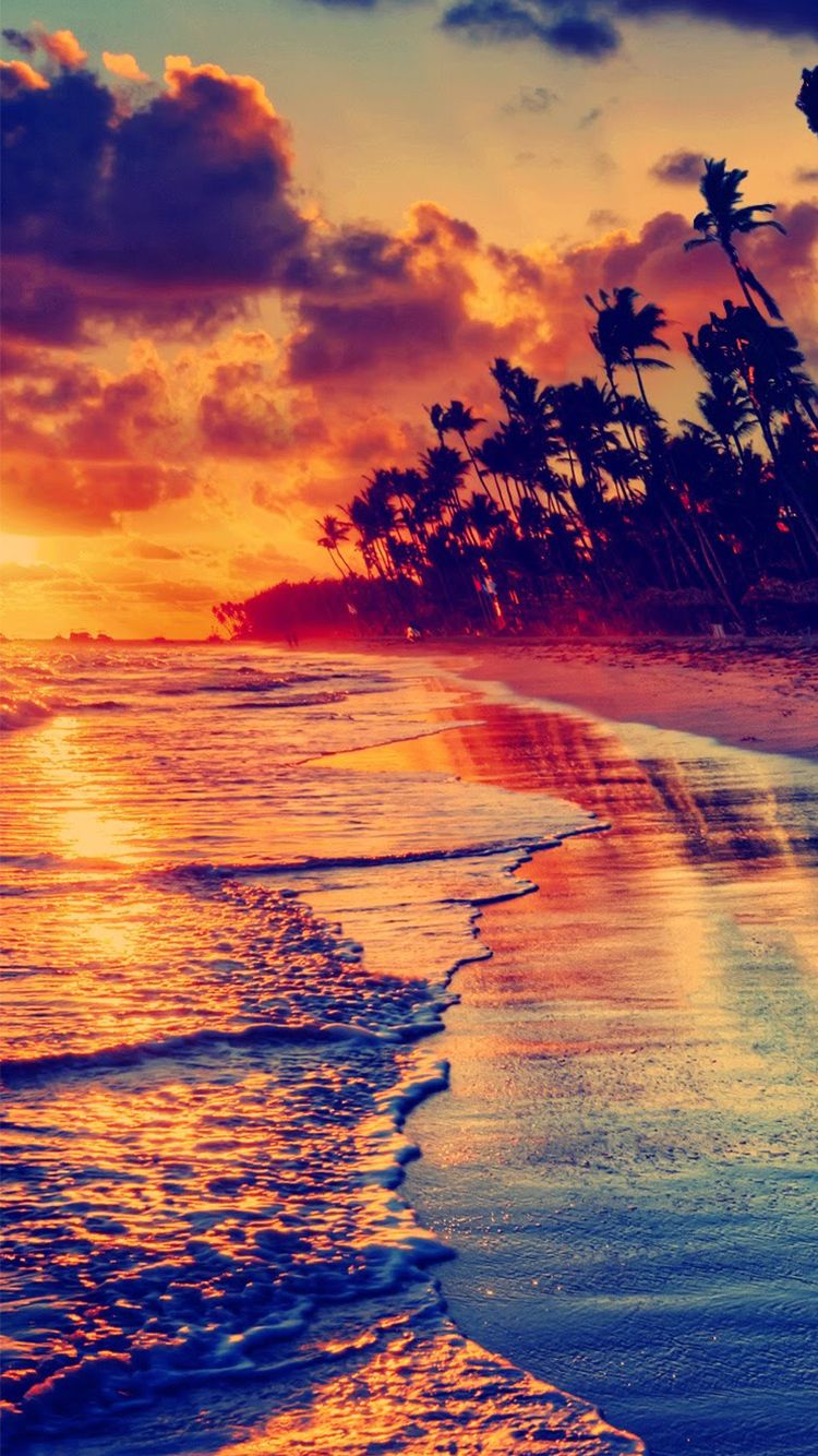 Golden Beach Sunset Tropical Download Free Wallpaper for iPhone