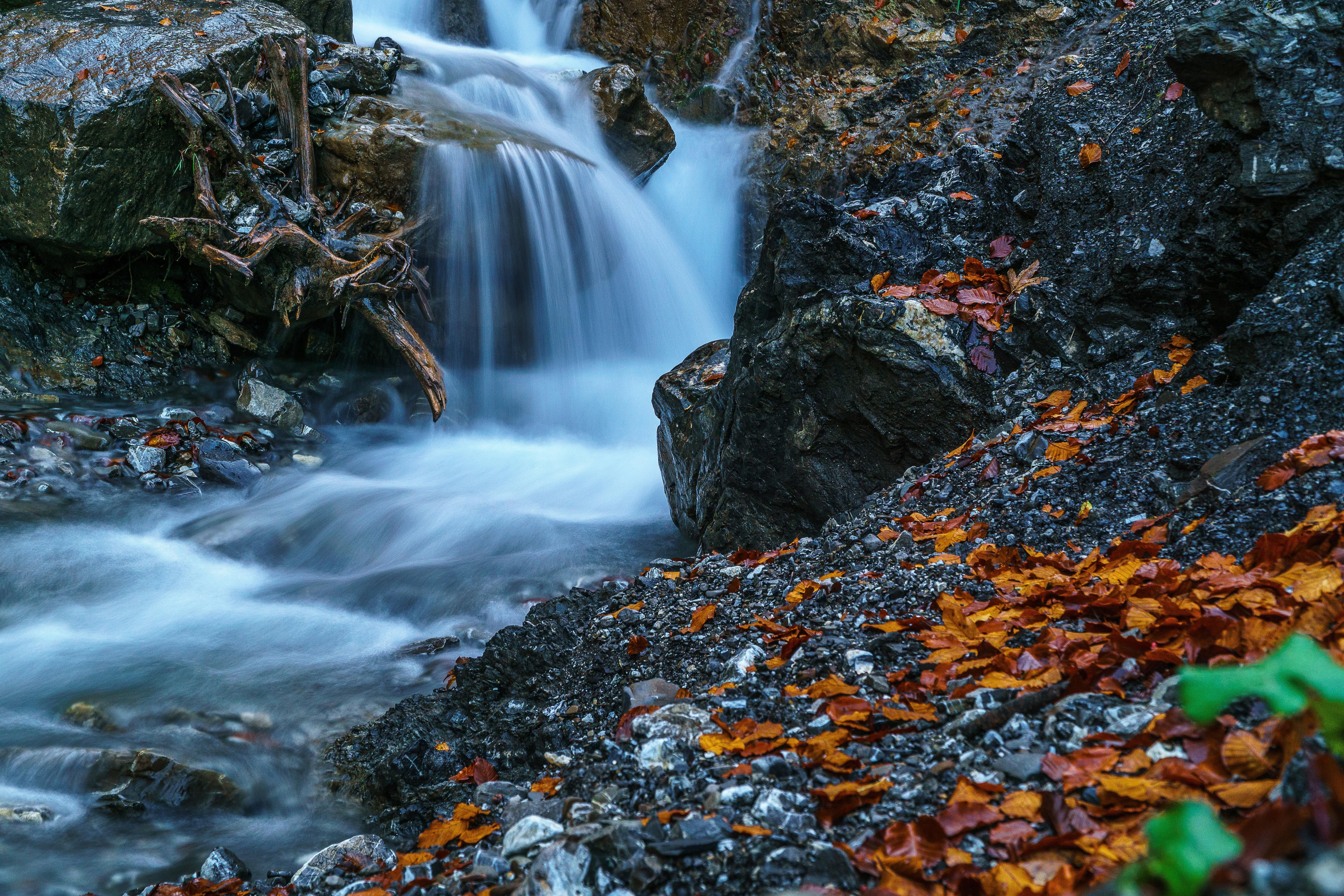 Waterfall Forest Ultra HD 5k, HD Nature, 4k Wallpaper, Image