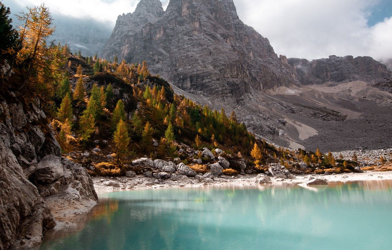 Wallpaper forest, sky, trees, nature, water, autumn, mountains