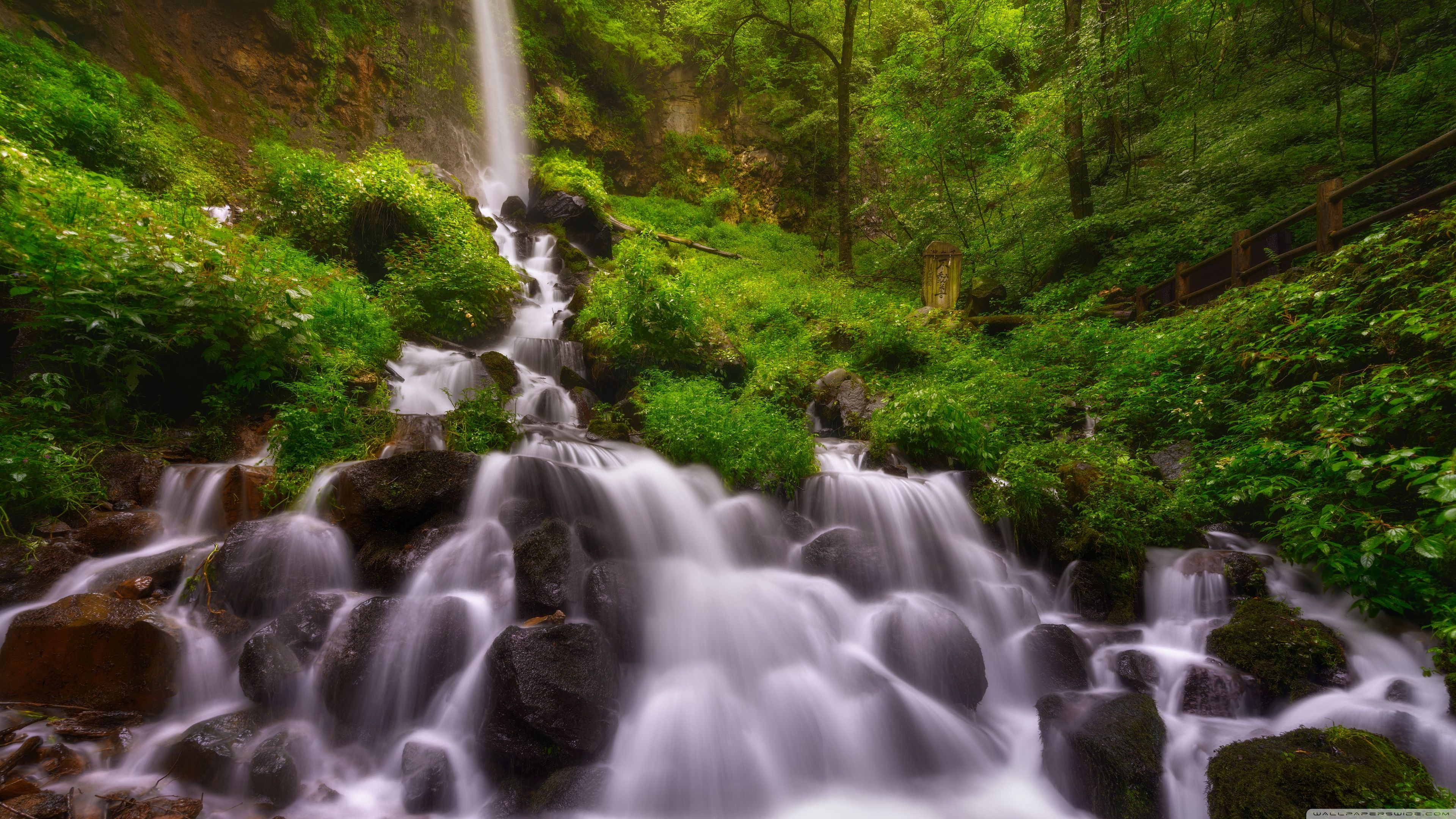 Forest Waterfall, Summer Ultra HD Desktop Background Wallpaper