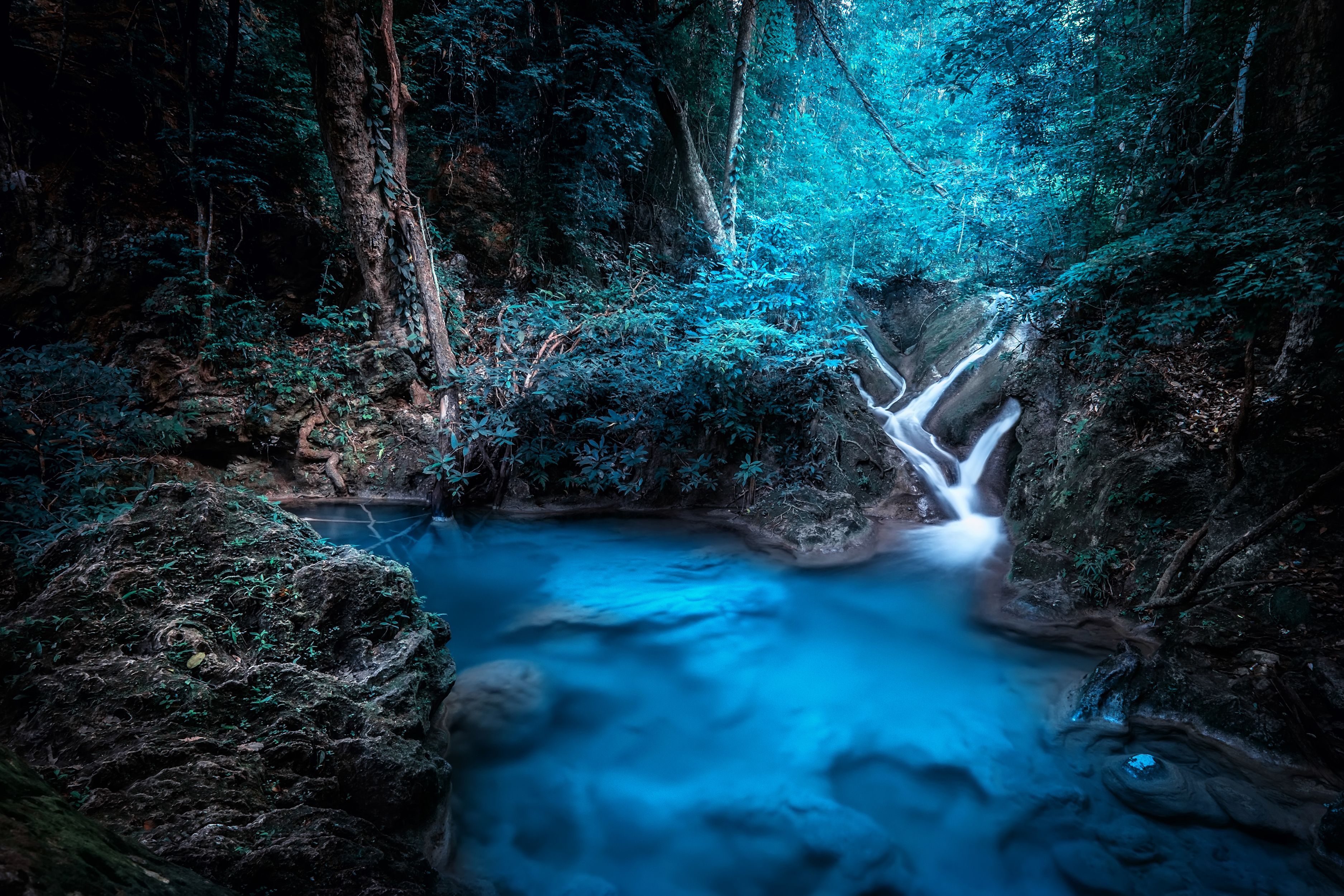 Forest Dreamy Waterfall 4k, HD Nature, 4k Wallpaper, Image, Background, Photo and Picture