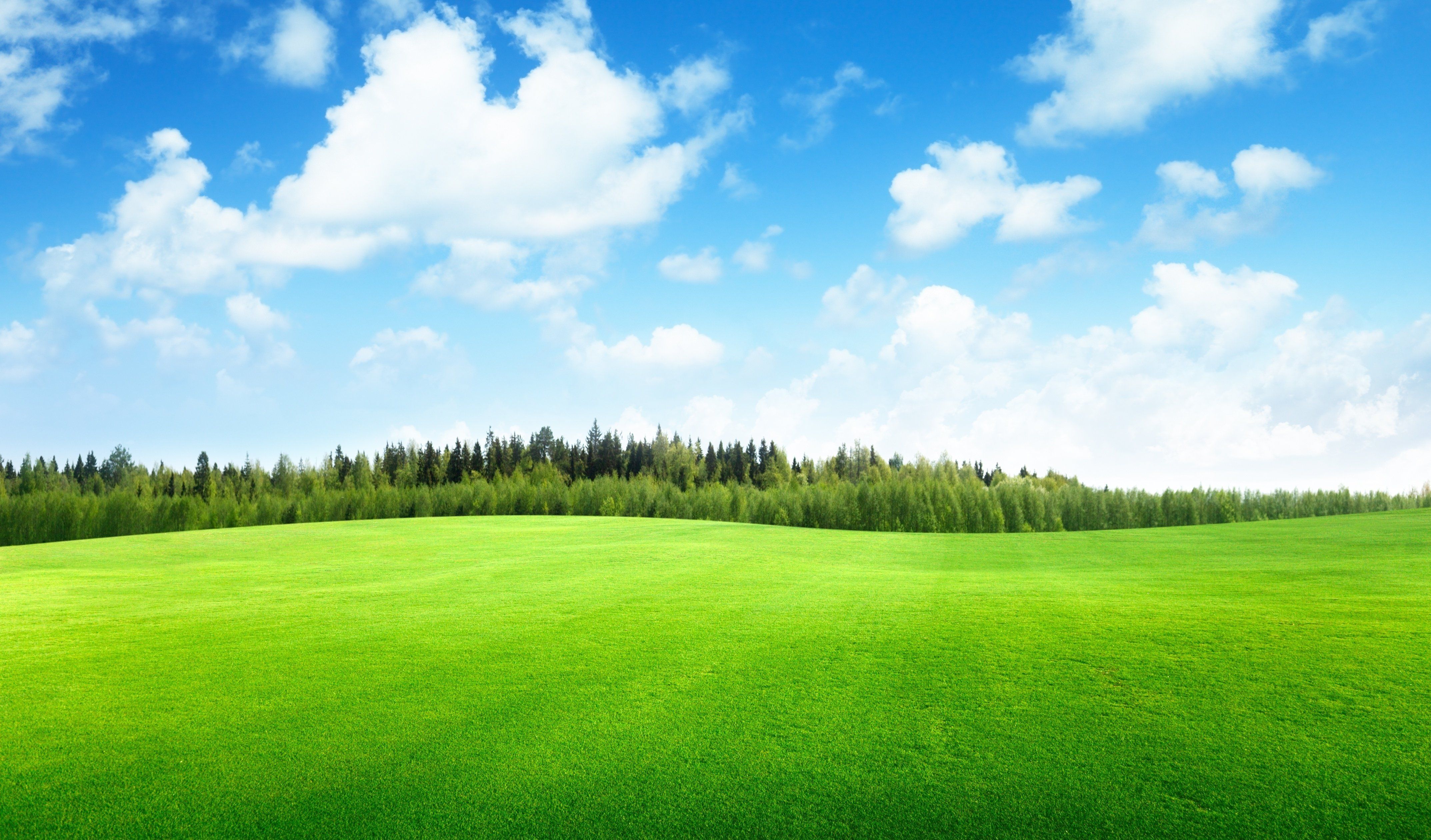clouds, Trees, Field, Of, Grass, Beautiful, Nature, Landscape, Sky