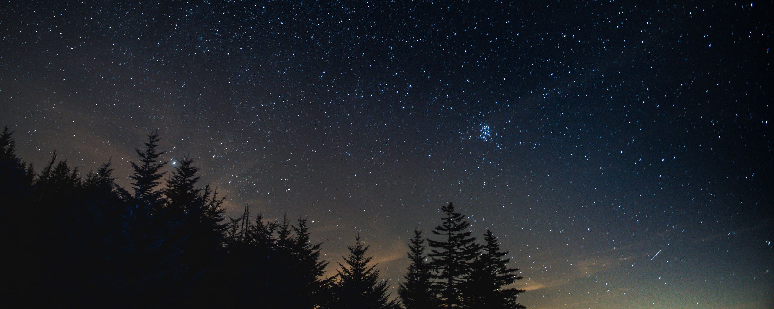 Download wallpaper 2560x1024 starry sky, night, trees, night